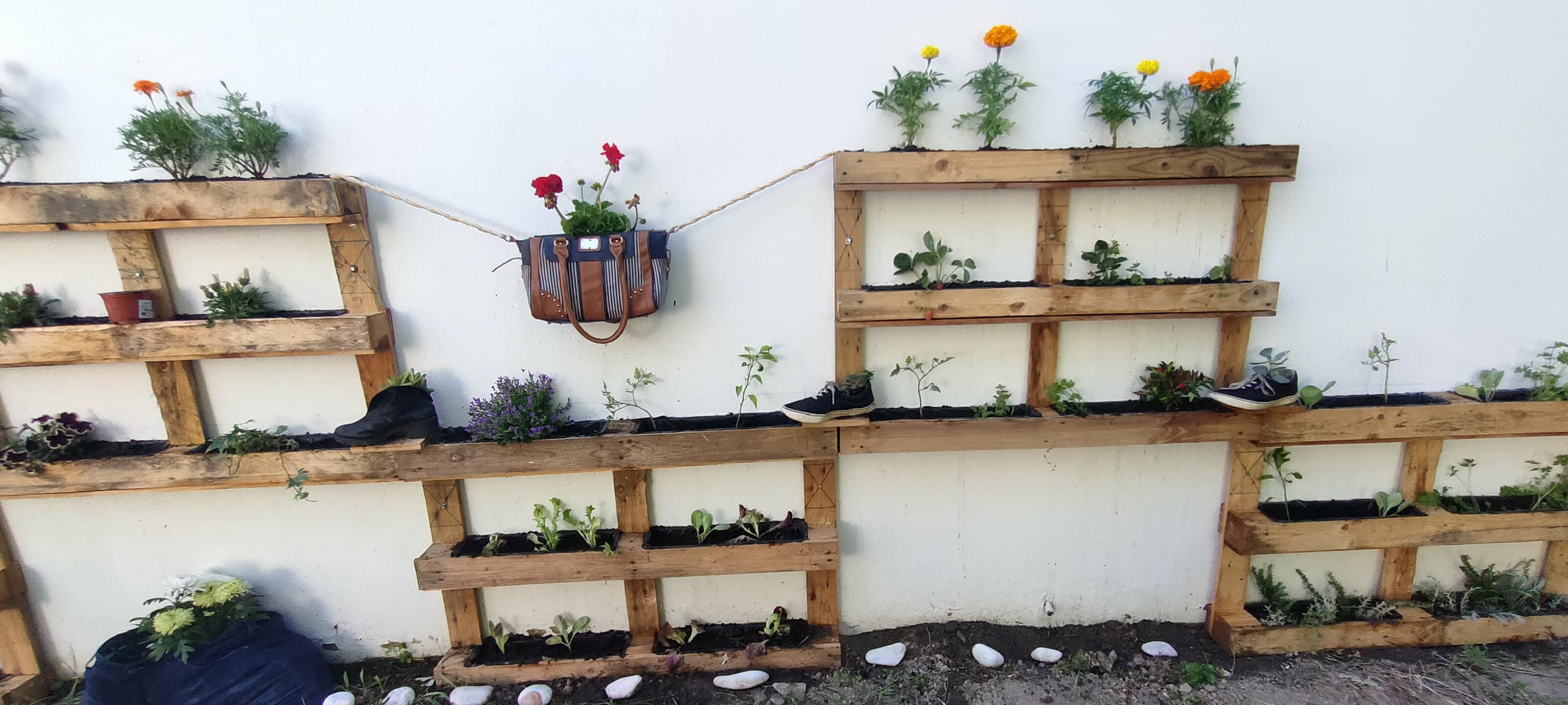 Construção de um jardim vertical com aromáticas e flores