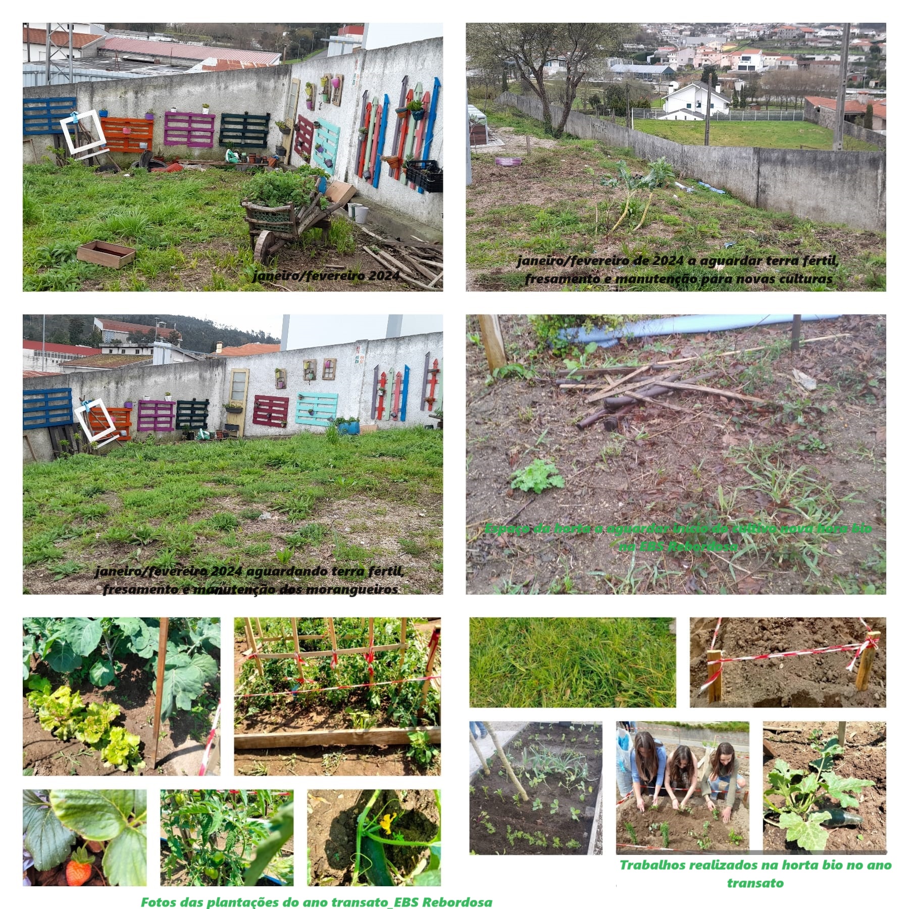 Espaço em manutenção e preparação para a continuidade do projeto da horta biológica/pedagógica. Nos 3 anos anteriores o projeto da horta foi muito bem sucedido, multidisciplinar, com a envolvência de várias turmas, professores, funcionários e EE.