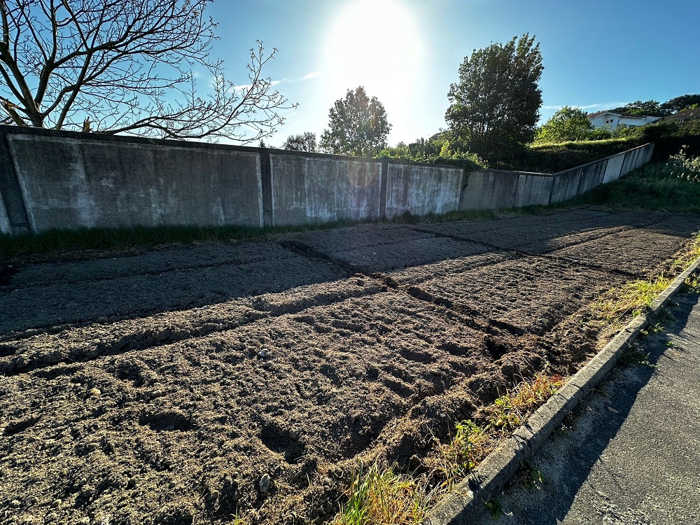 Preparação do terreno onde será instalada a horta.