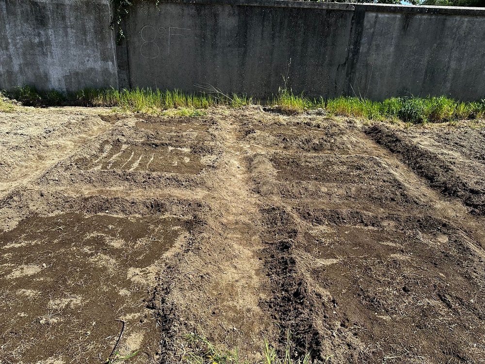 Terreno dividido em talhões.
