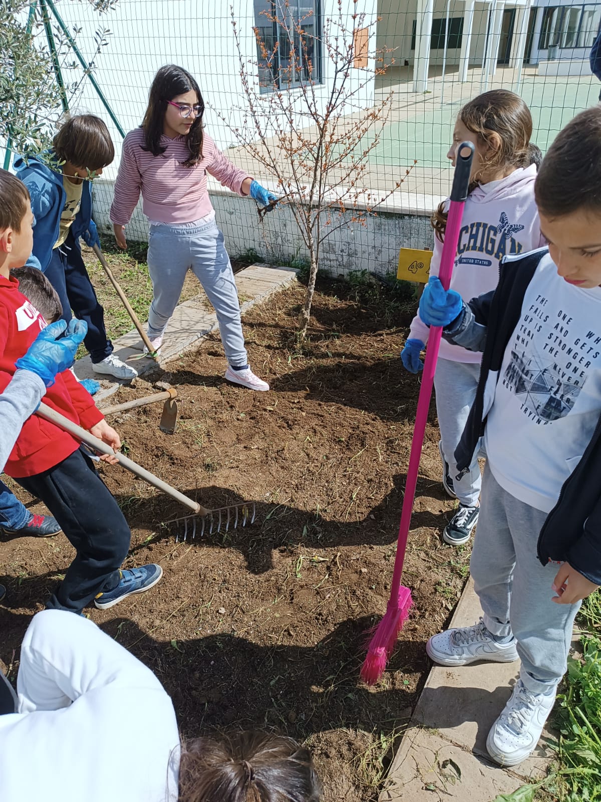 Arranjar a terra - A turma CA4A puseram mãos à obra e limparam o espaço correspondente  à turma.