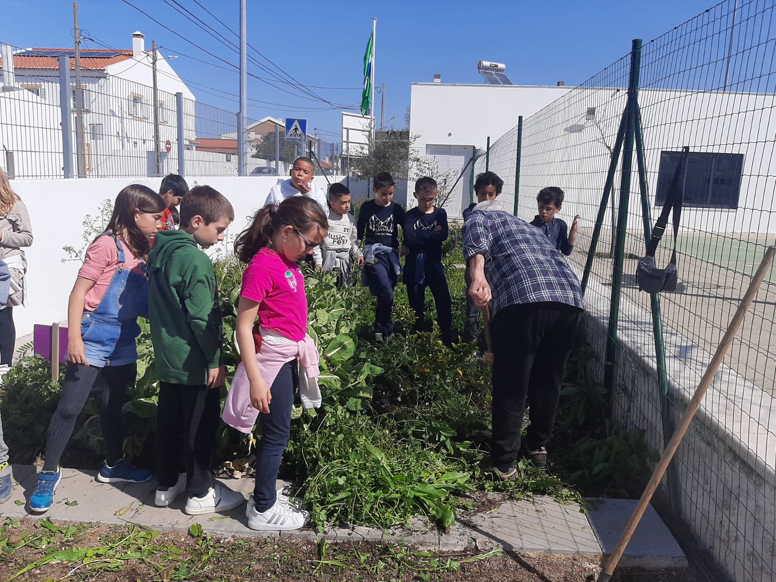 Cavar a terra - A turma CA3/2A tiveram a ajuda de um avô para arrancar e cavar a terra.