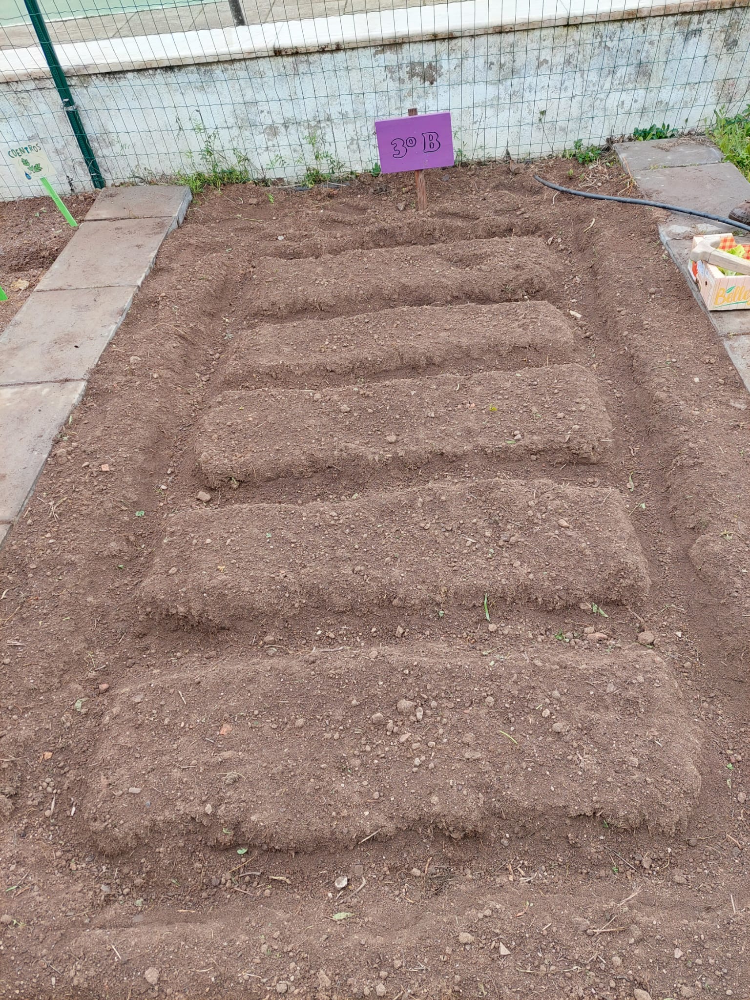 Terra pronta - Depois do espaço cavado e limpo, ficou preparado para plantar e semear os legumes.