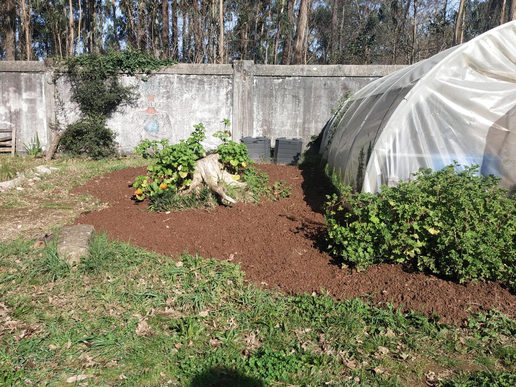 1-	EBSCC Horta Bio (Estufa) – Aspeto Geral do Exterior da Estufa.