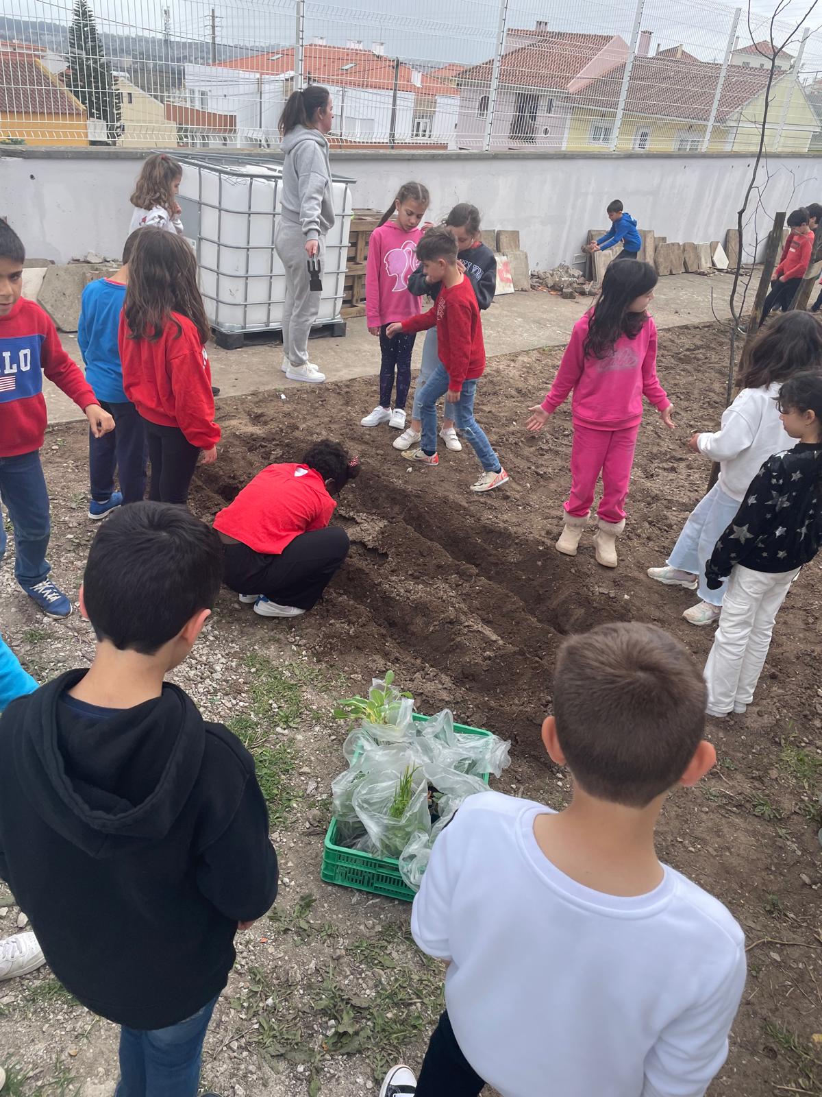 Os alunos cuidam da horta