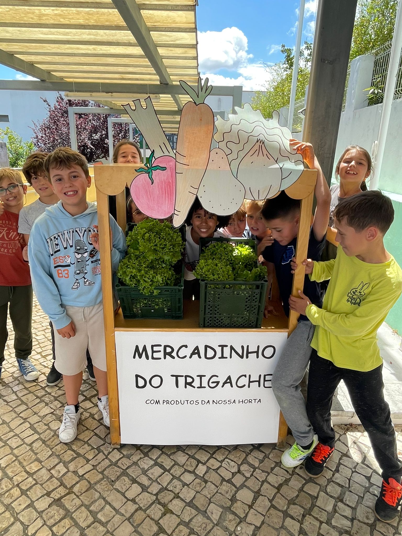Colhem-se alfaces que se vendem aos pais - os interessados dão o que podem, para se comprarem mais sementes e plantas