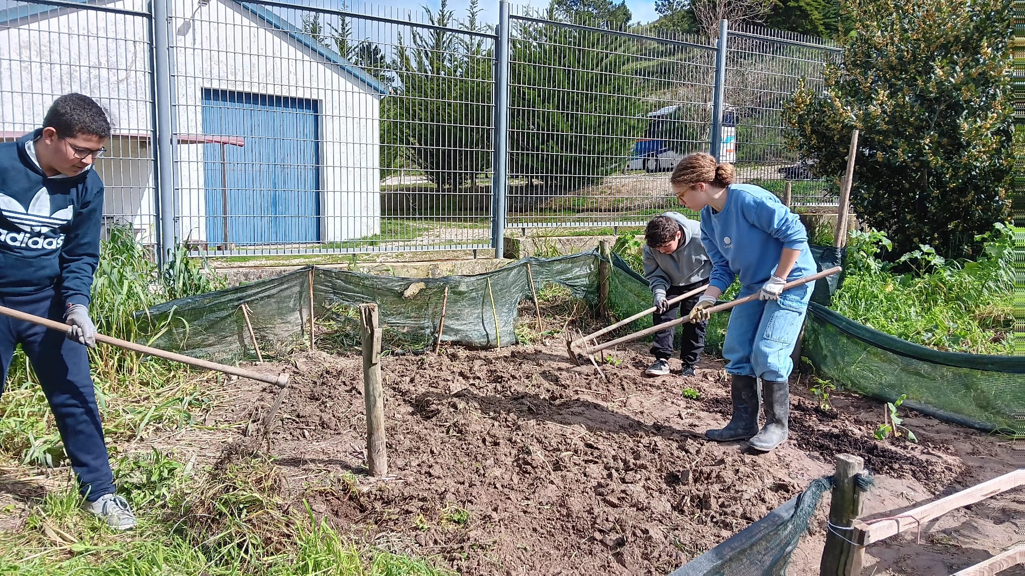 Preparando o terreno para as sementeiras e plantações