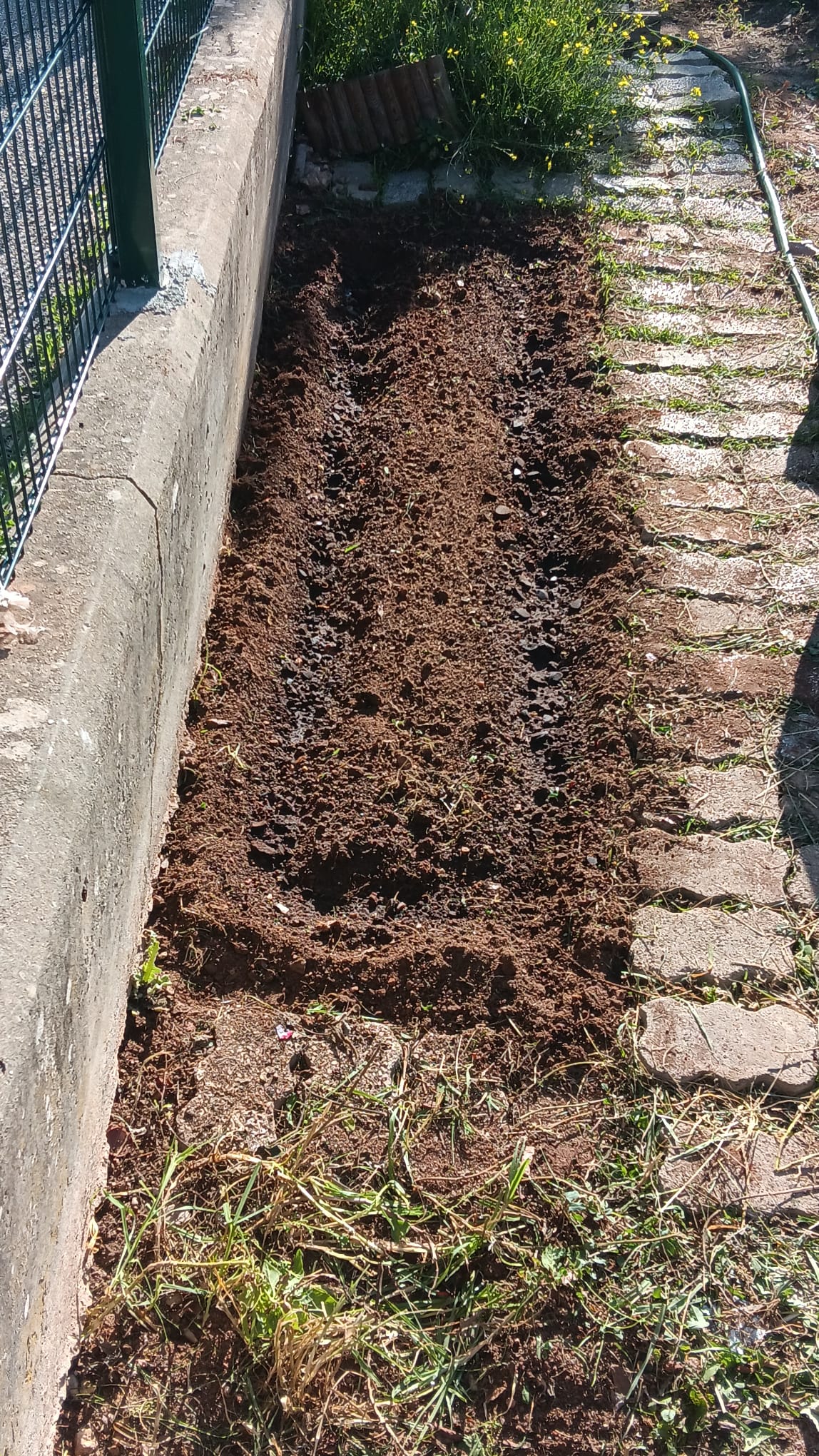 Preparação para plantar o canteiro das alfaces.