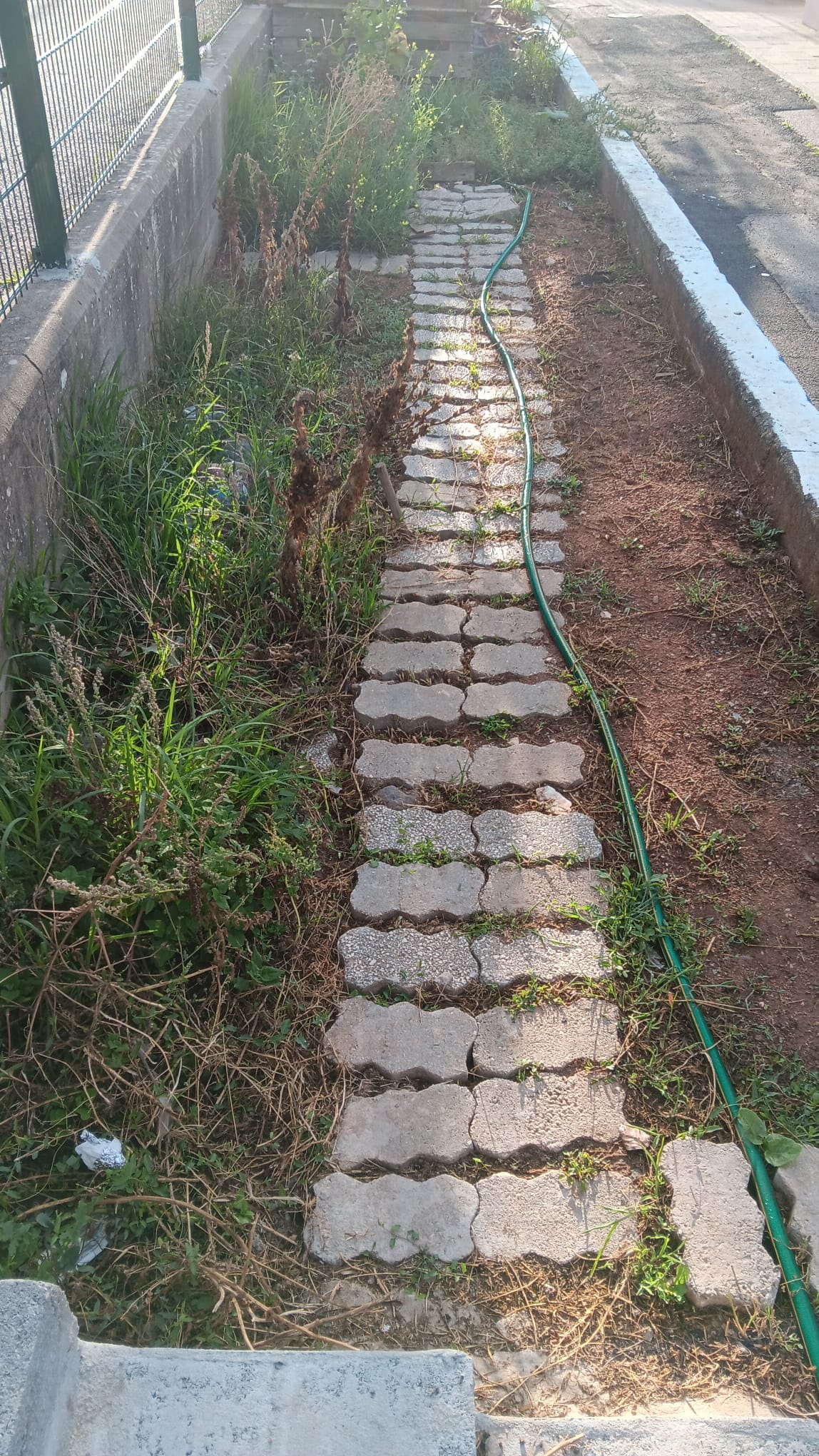 Terreno da horta ainda por arranjar.