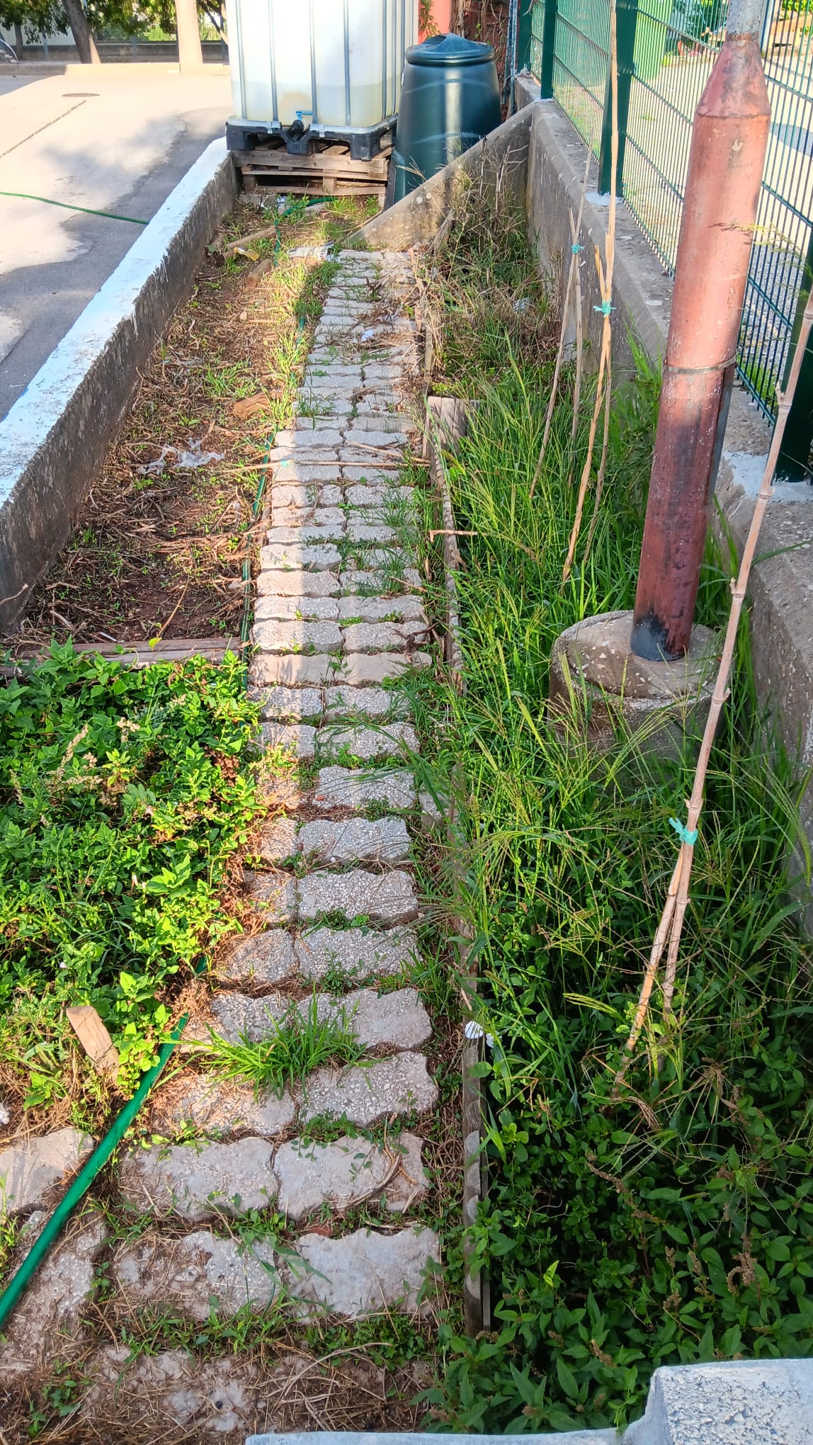 Terreno da horta ainda por arranjar.