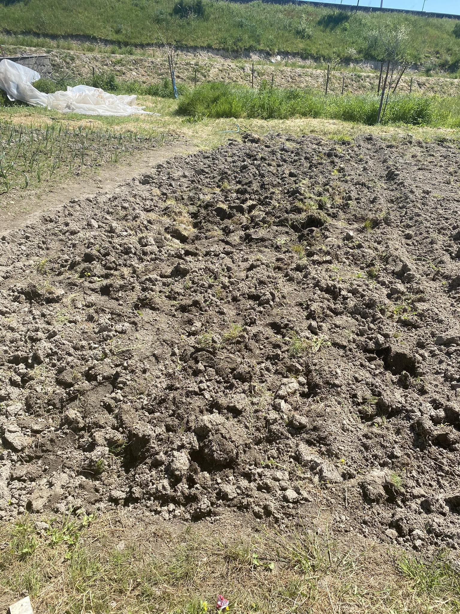 Terreno Cavado e lavrado