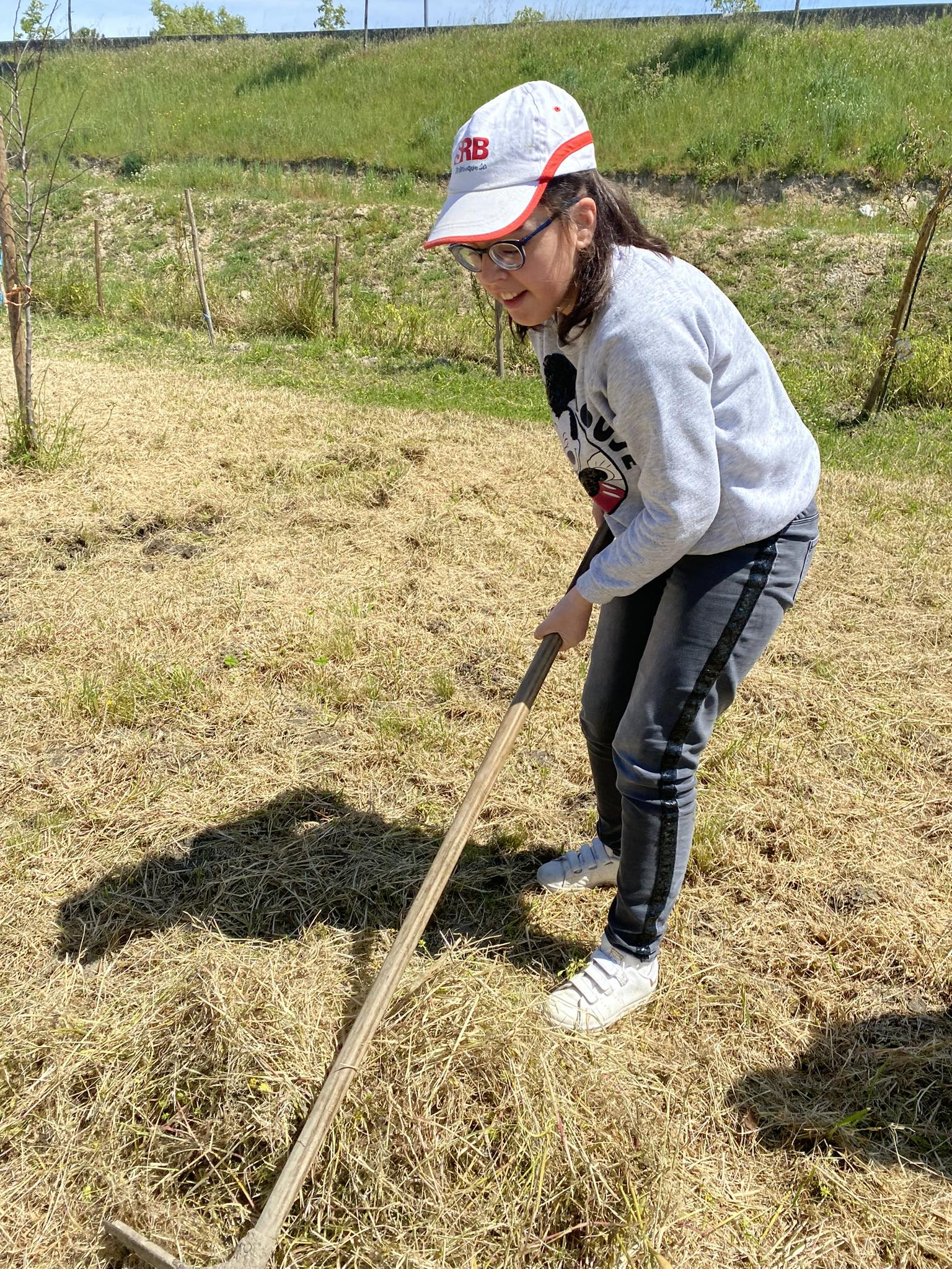 Limpeza do terreno com ancinho