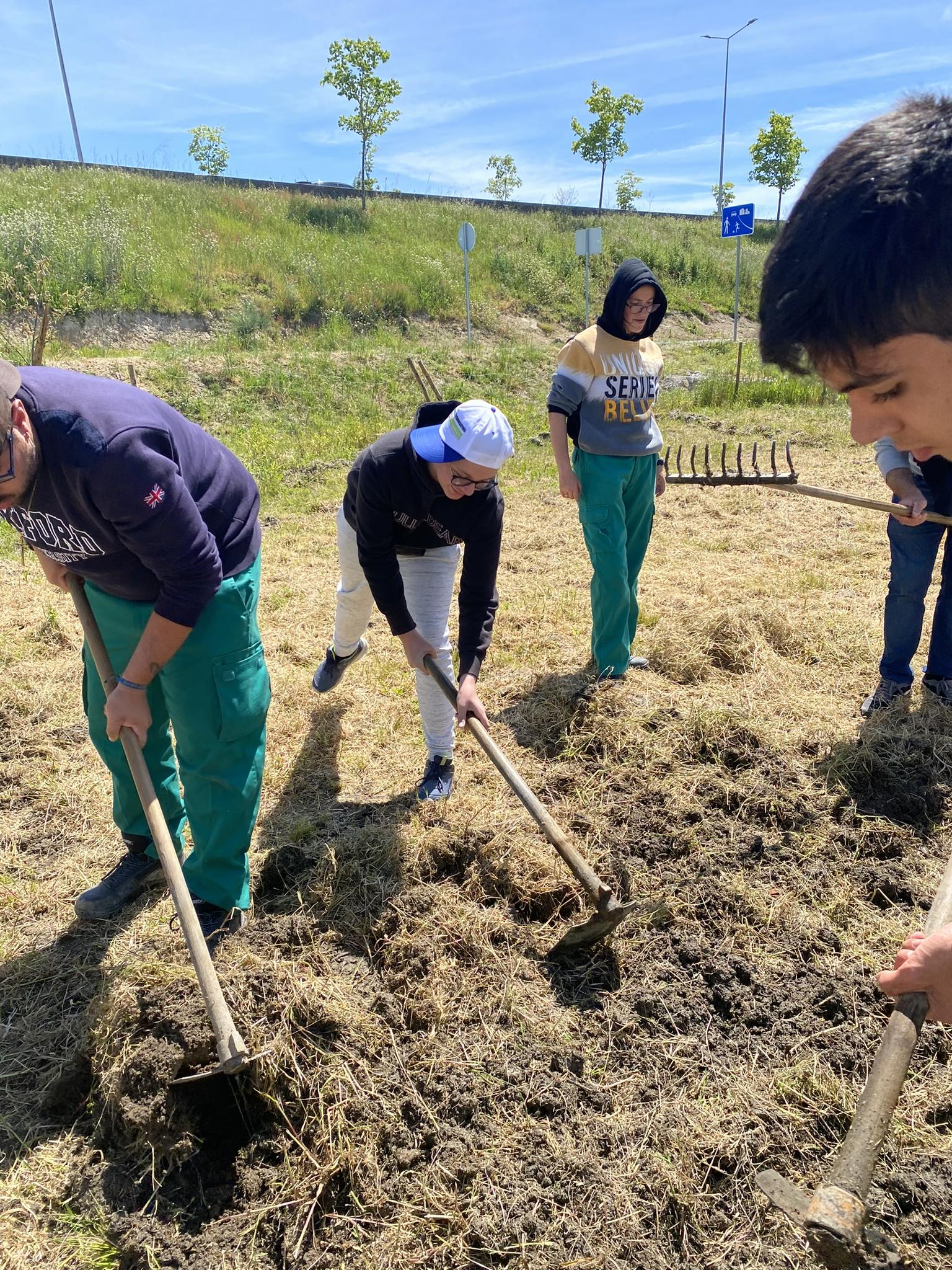 Preparação do terreno