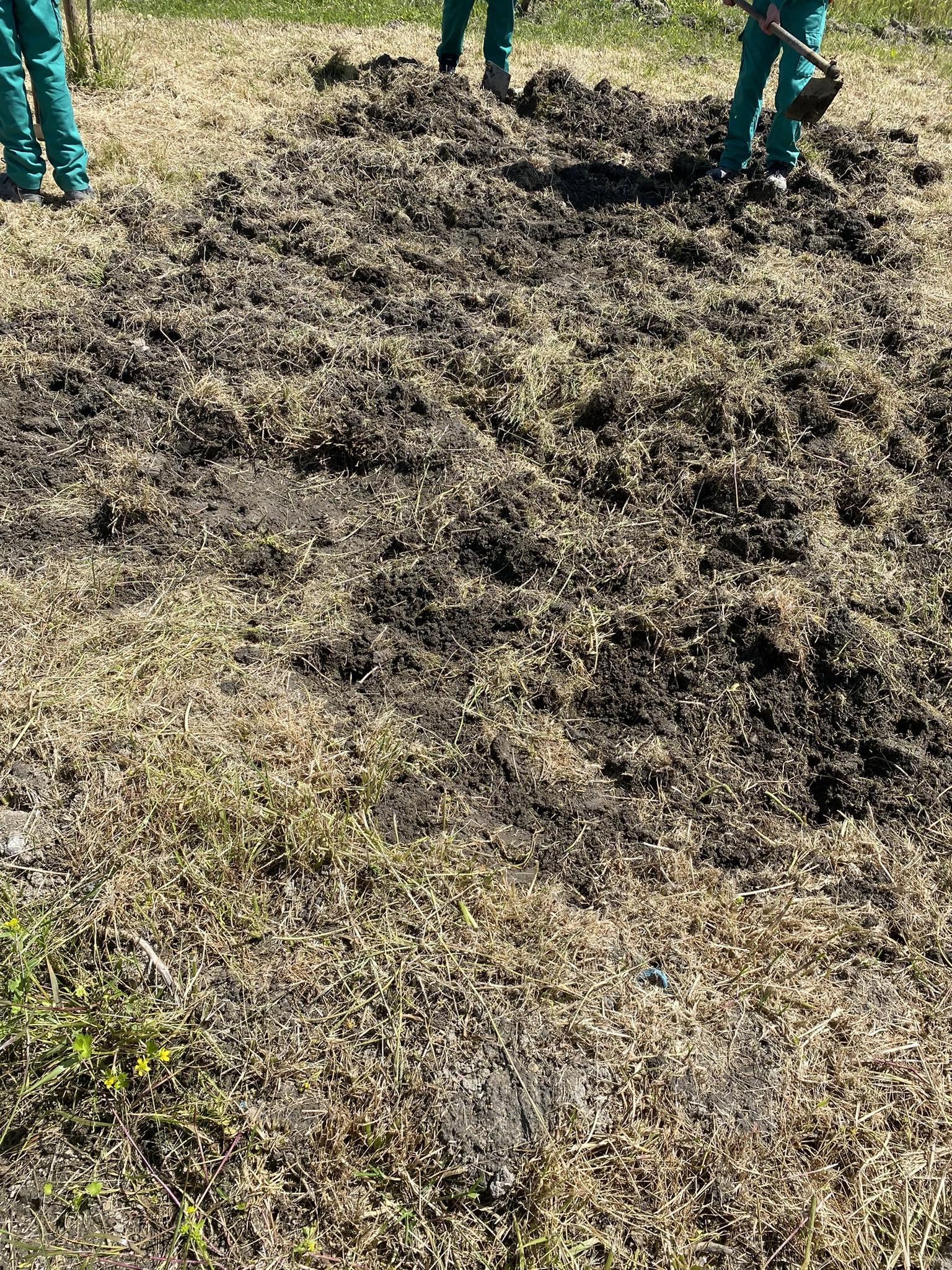 Preparação do terreno