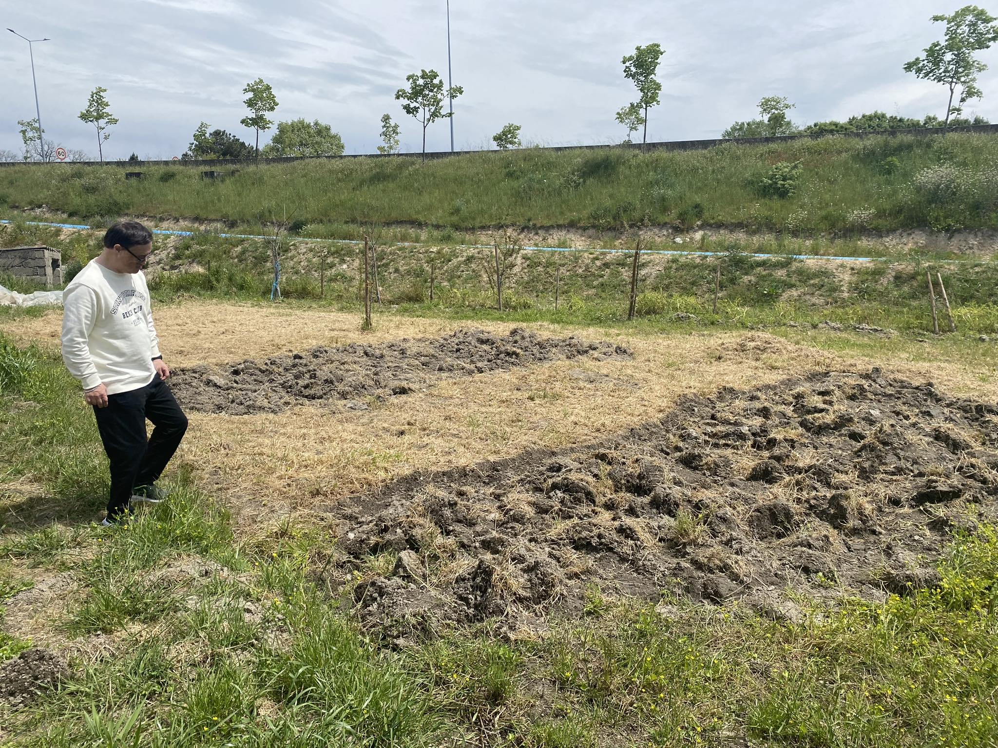 Terreno preparado