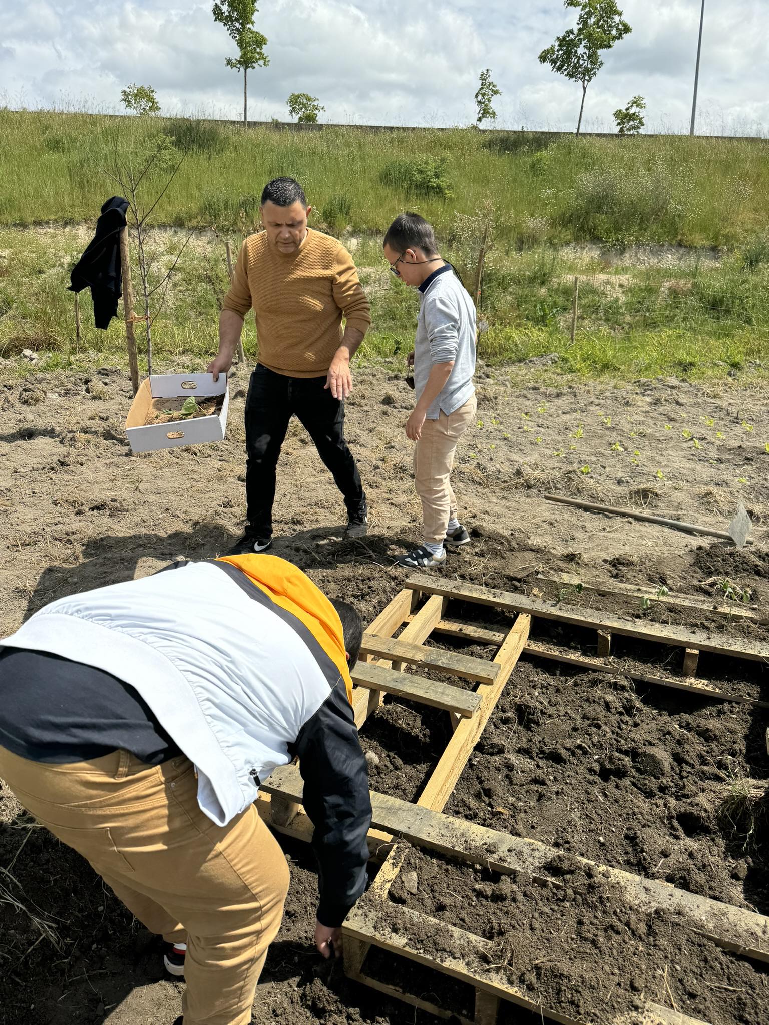 preparar o terreno para plantar