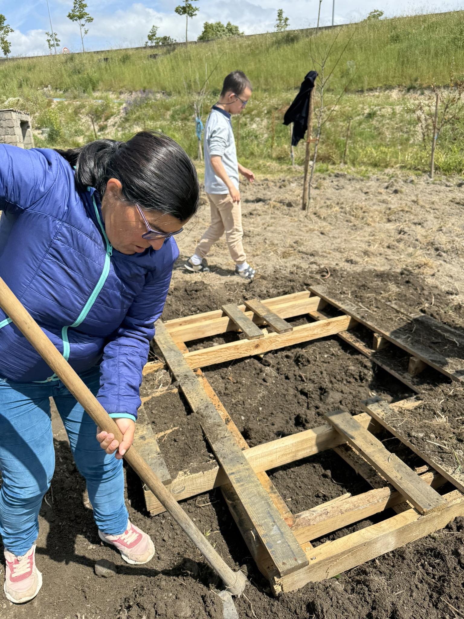 preparar o terreno para plantar