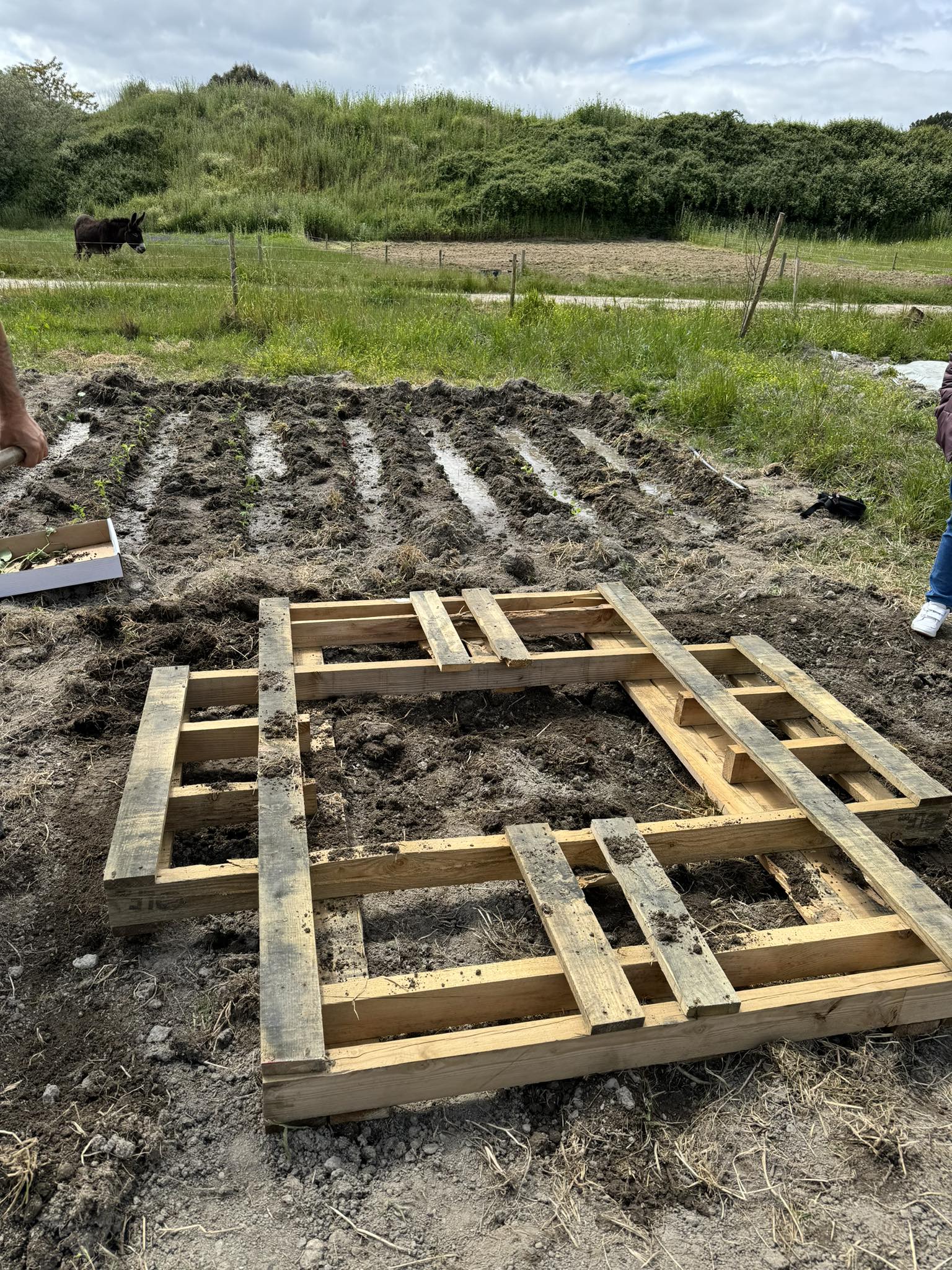 o terreno pronto para receber a nossa plantação