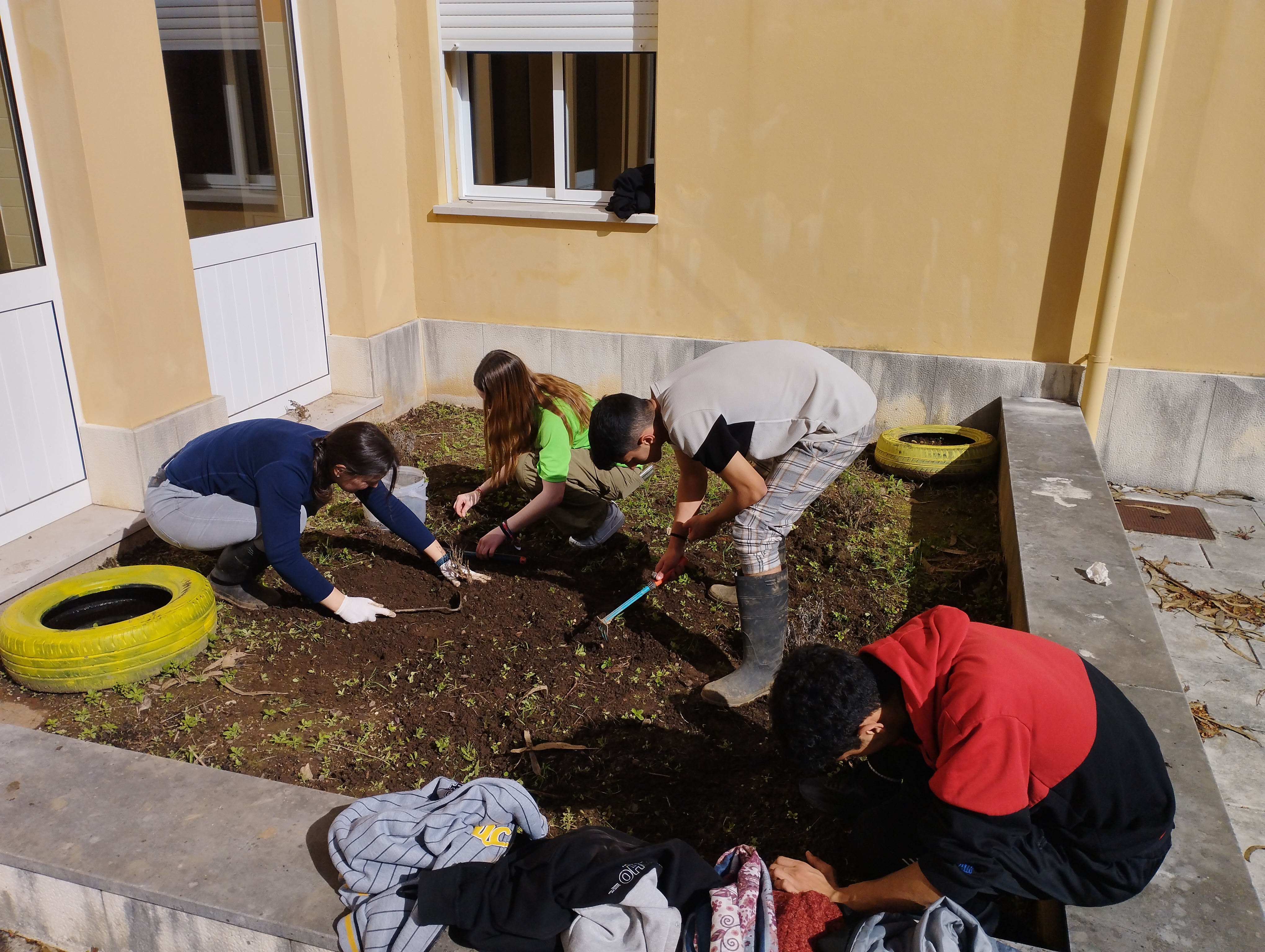 Plantar aromáticas