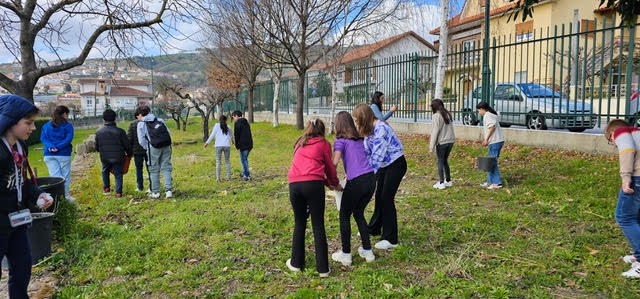 Aplicação de adubo orgânico (1)