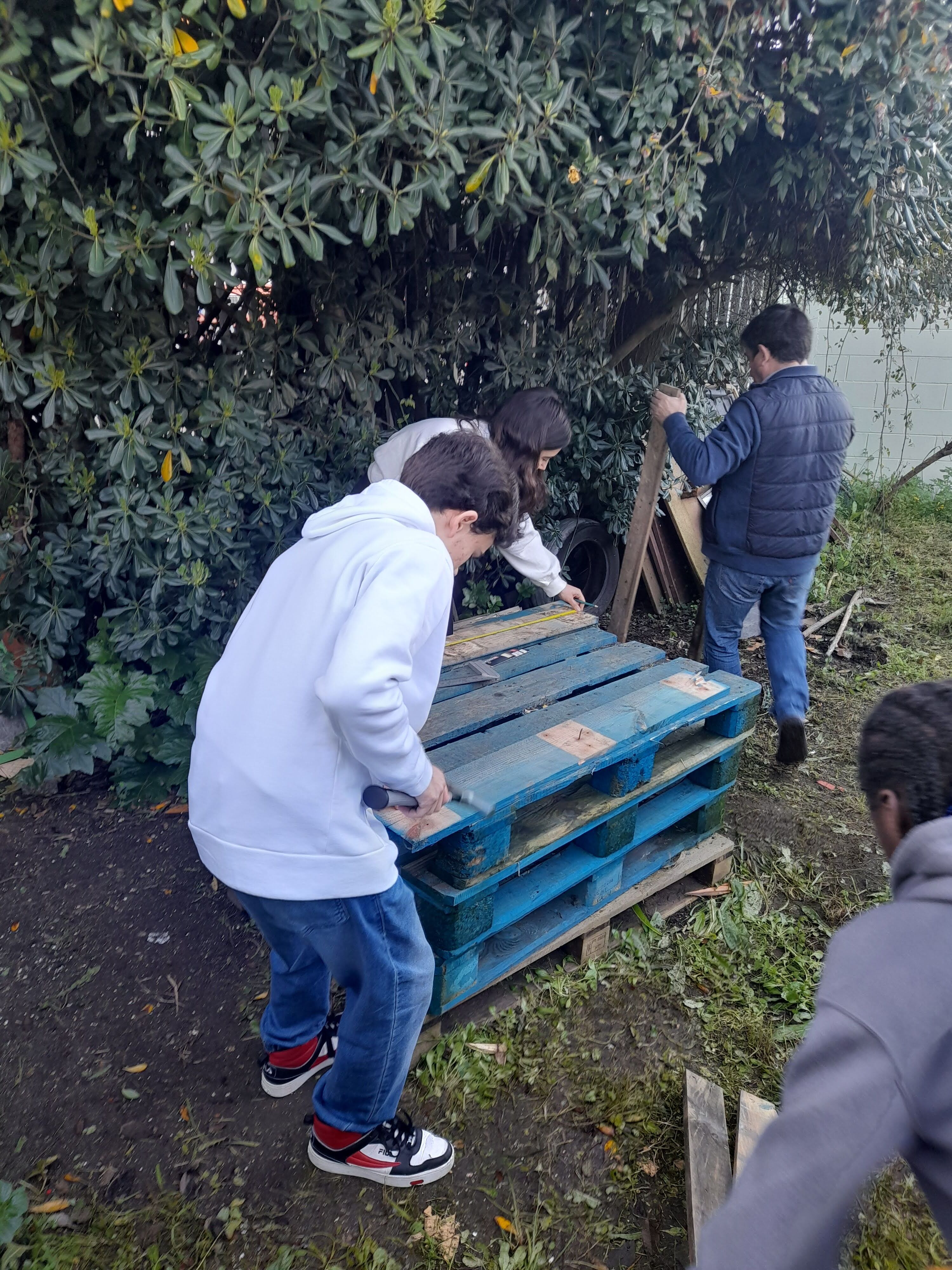 Utilização de paletes de madeira sem uso para construção do compostor