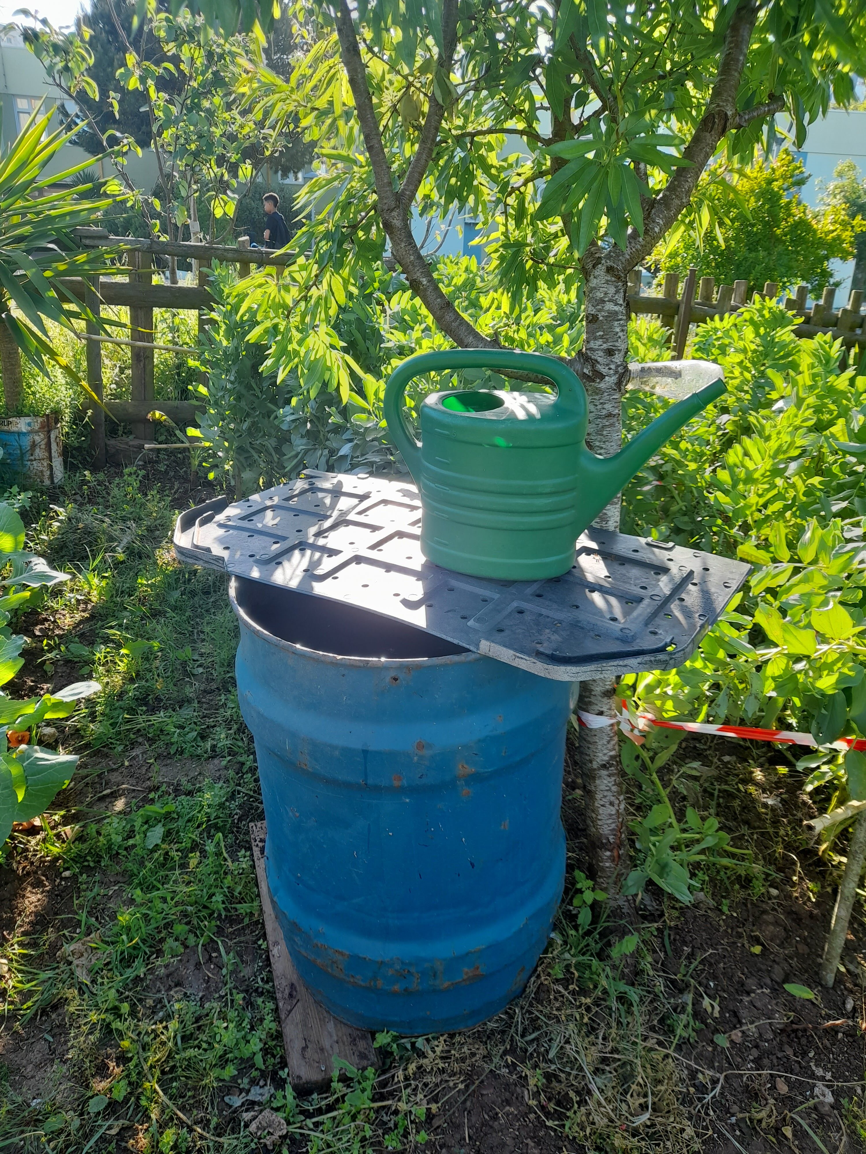 Utilização da água da chuva para rega