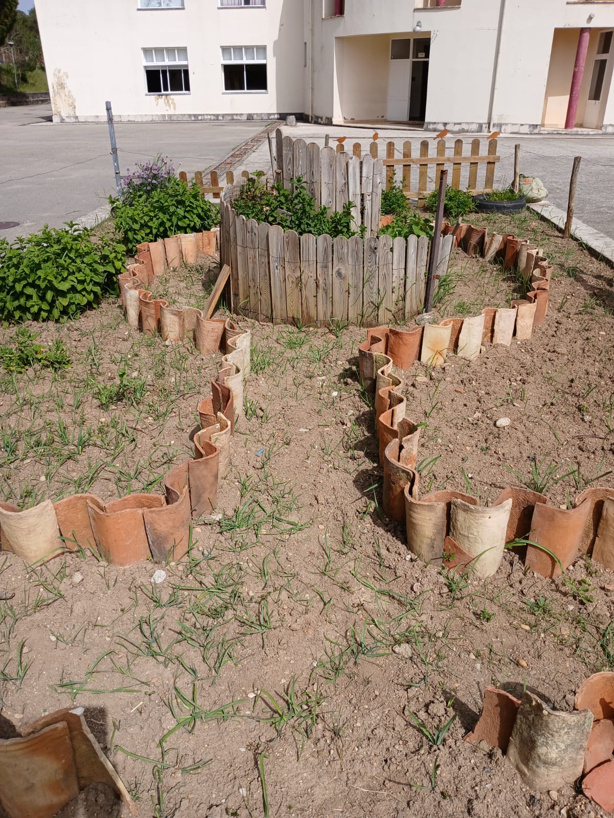 A horta na primeira preparação.