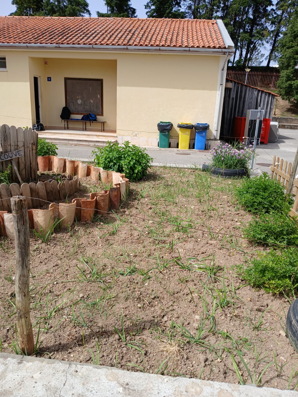 A horta na primeira preparação.