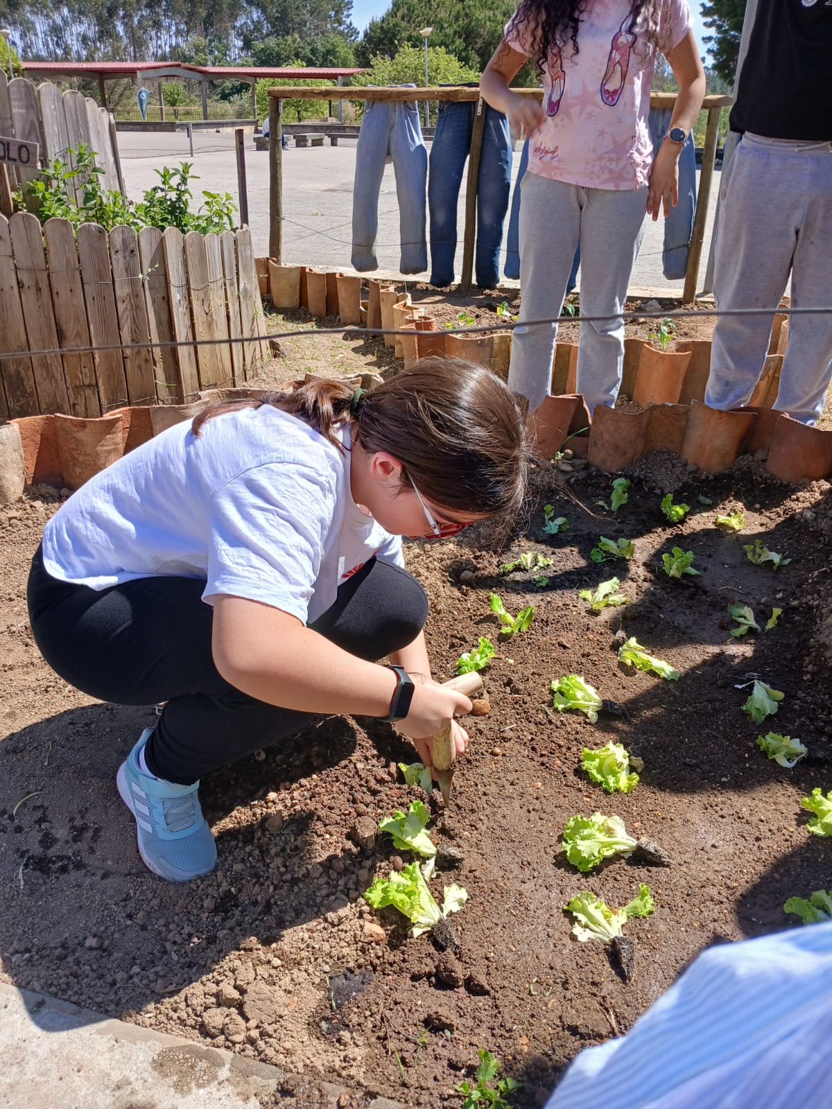 Verificar se estão bem plantadas.