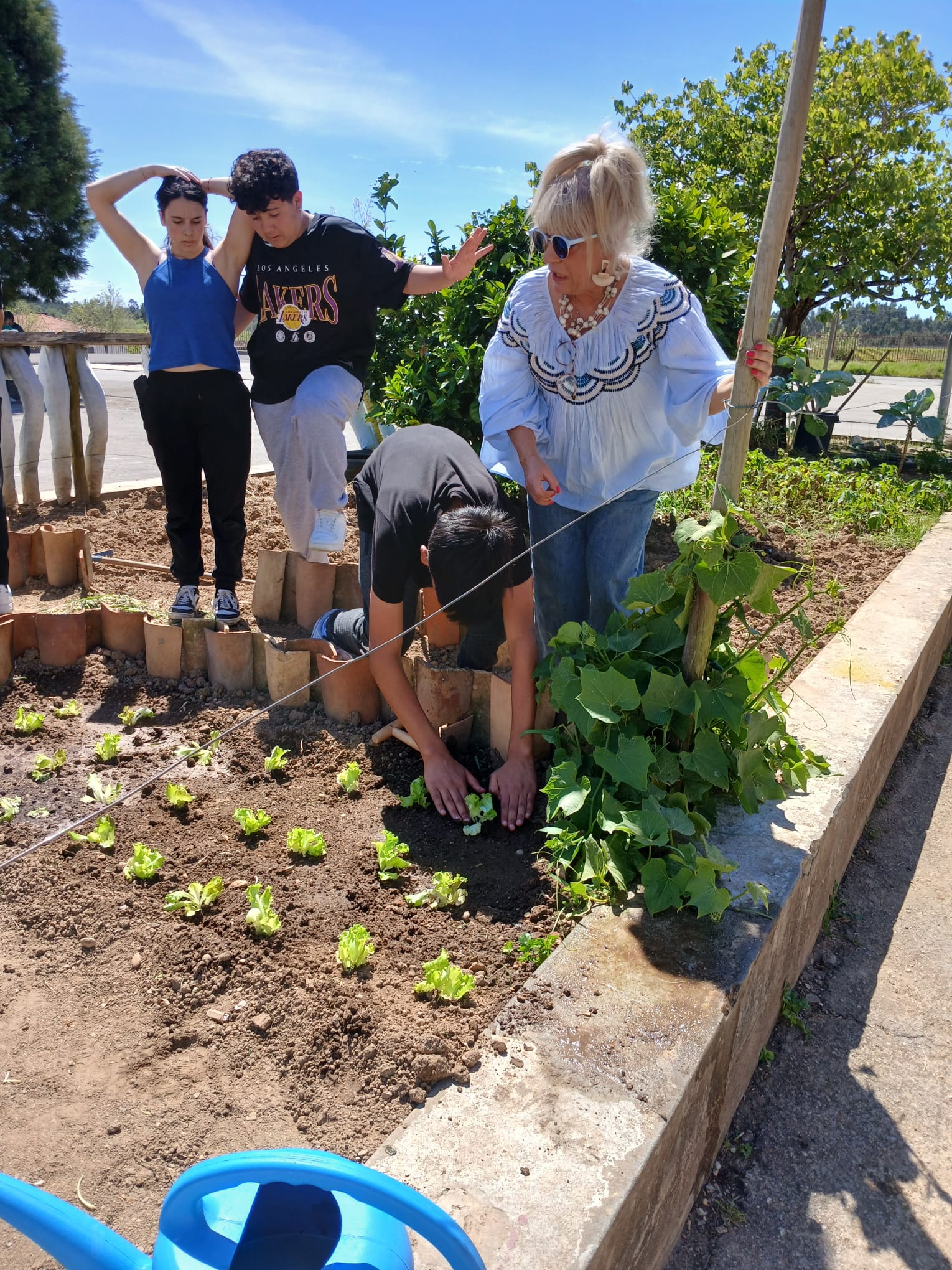 Verificar se estão bem plantadas.