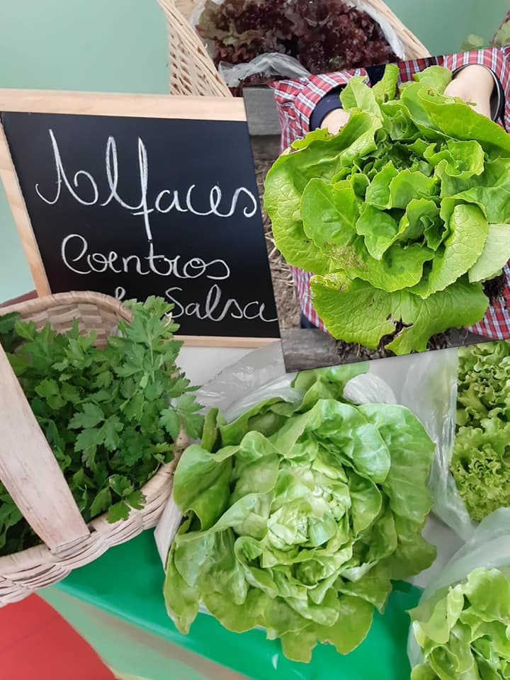 Produtos da horta