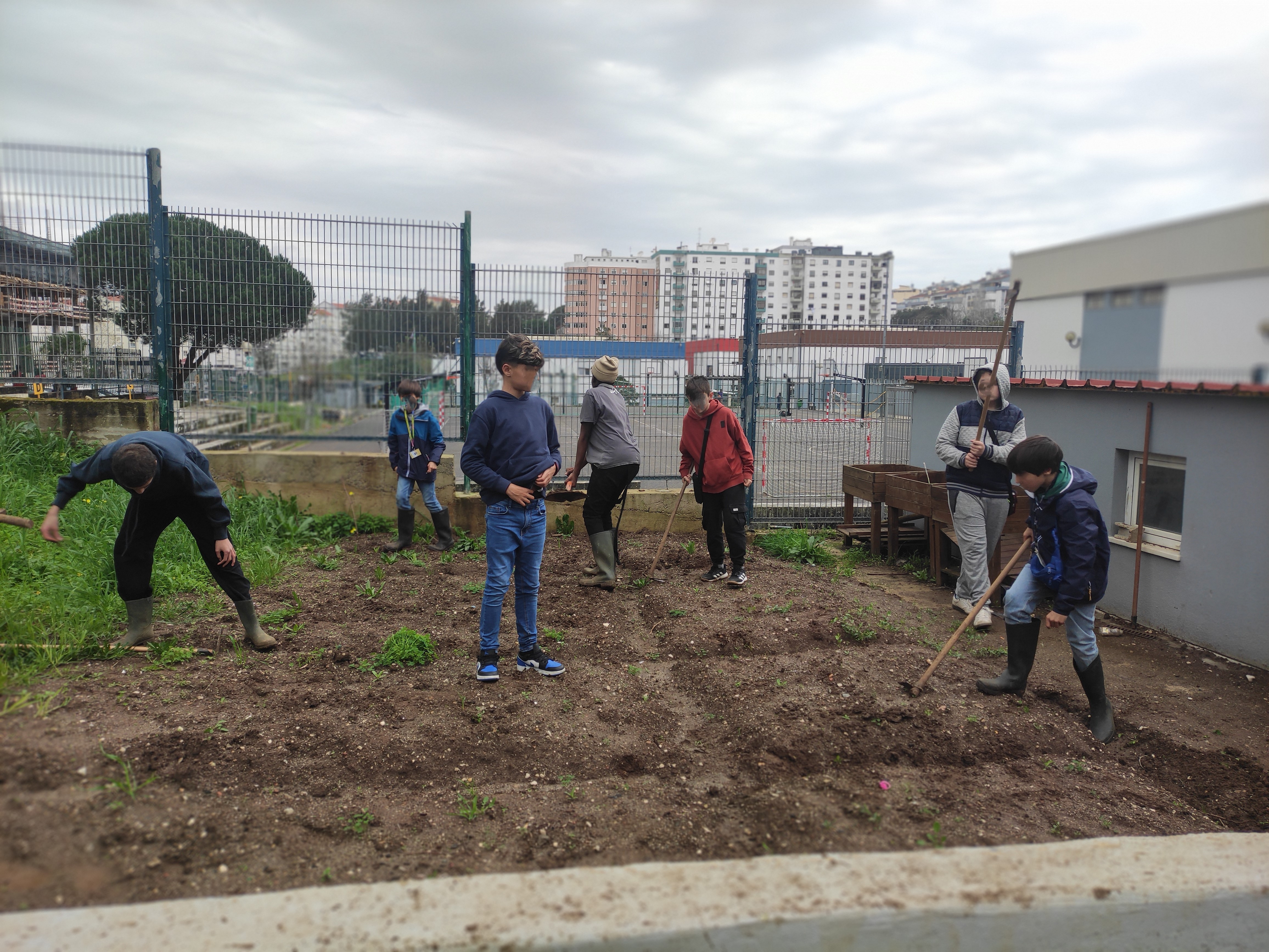 Preparando a terra