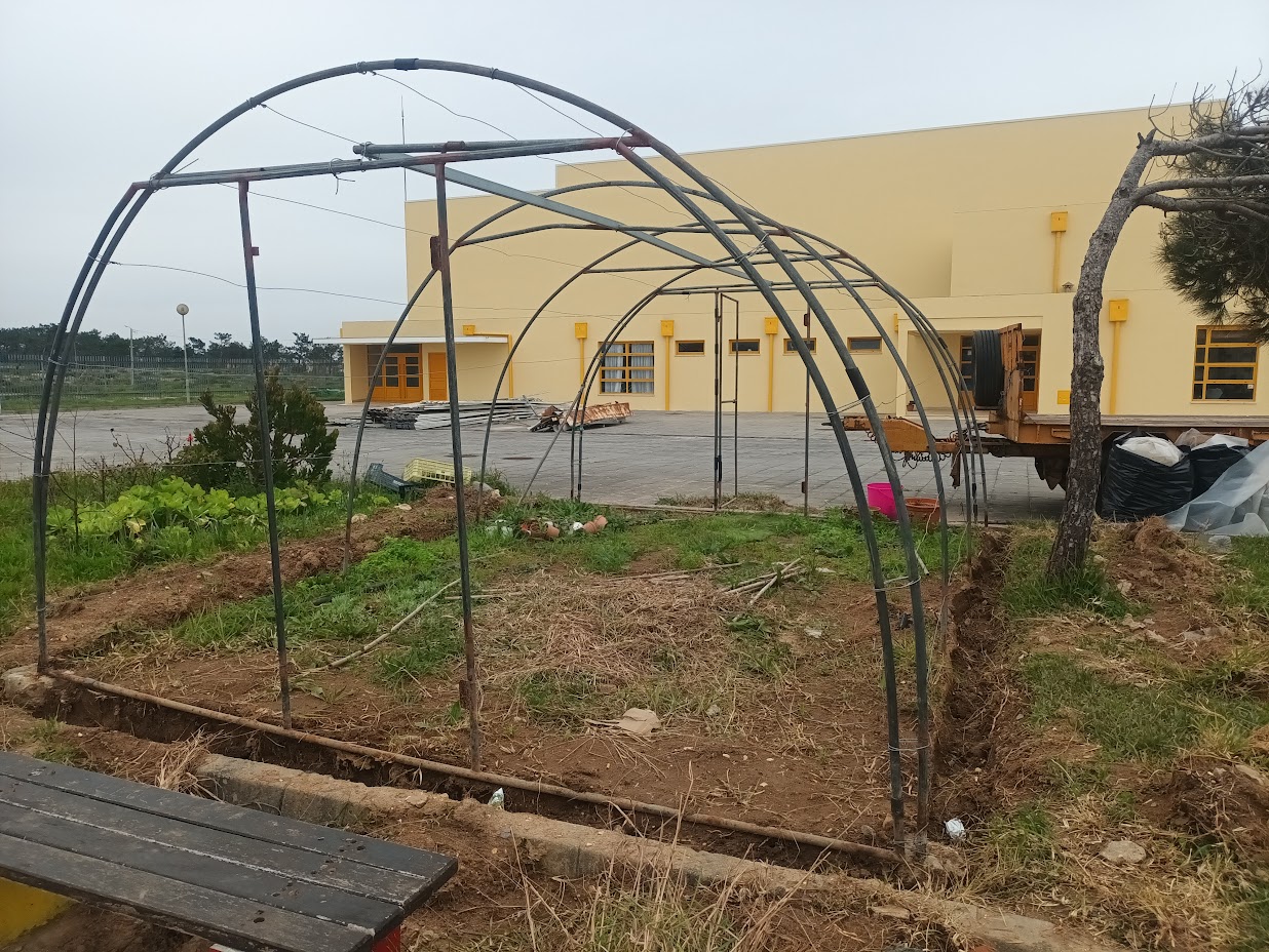 Preparação do local da Horta/Estufa
