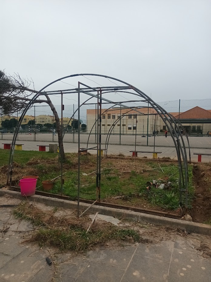 Preparação do local da Horta/ Estufa