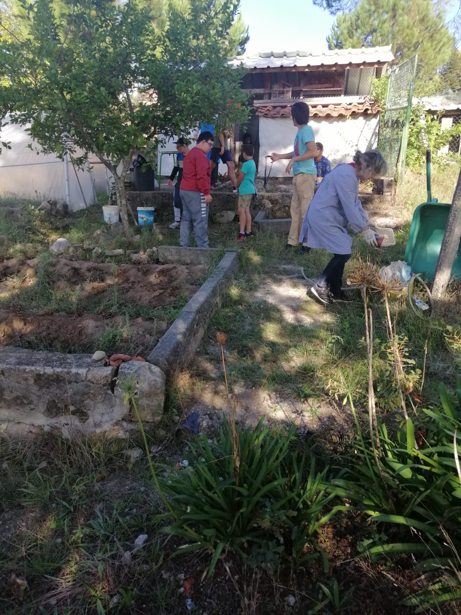 Alunos no terreno da horta por limpar