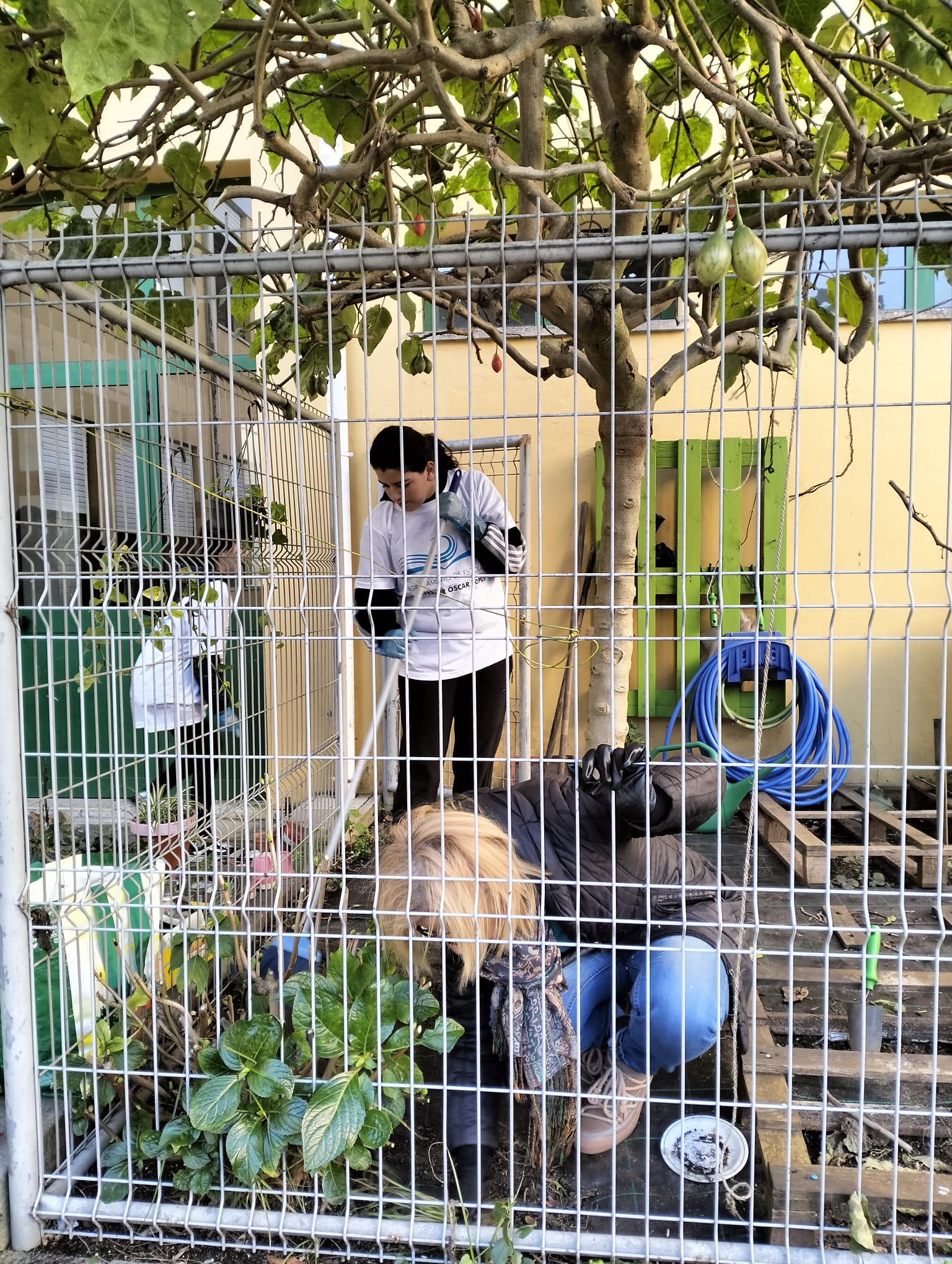 Limpeza na zona da horta.