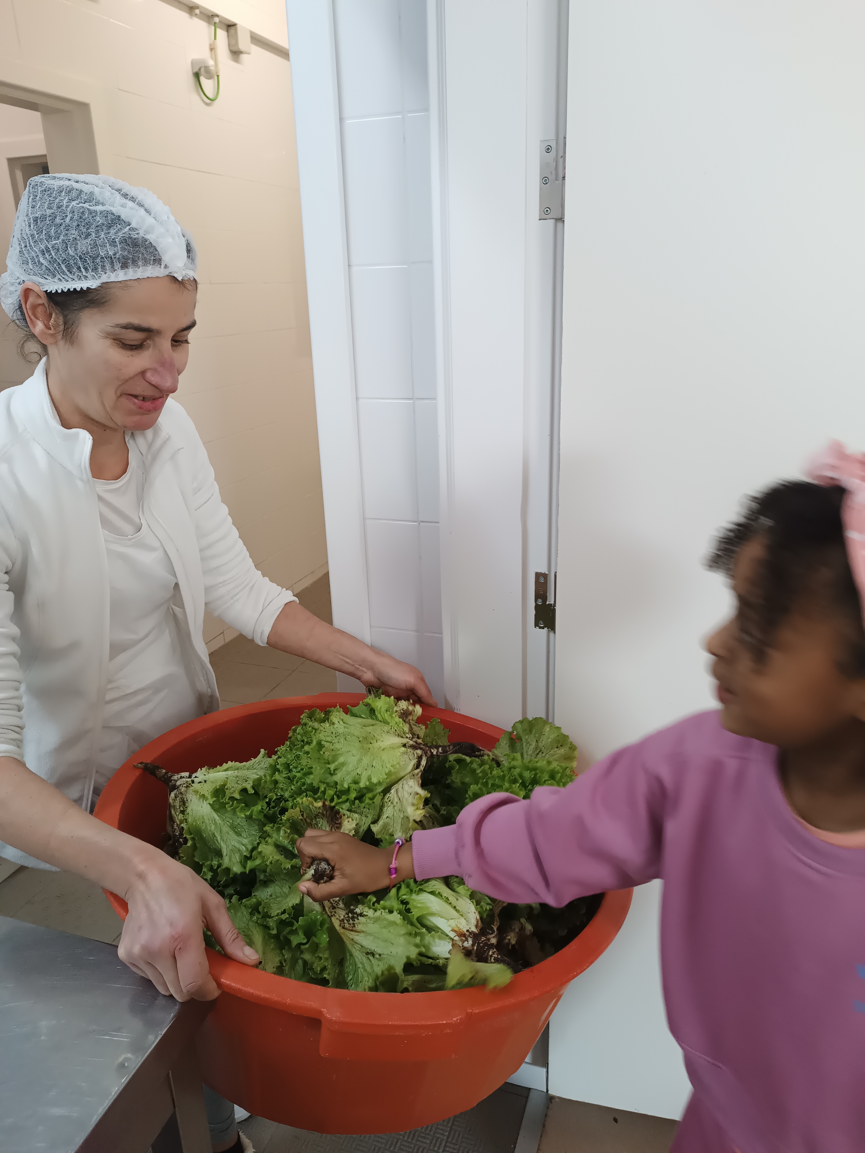 Entrega de alfaces da horta às funcionárias da cozinha, para fazer a salada para o almoço.