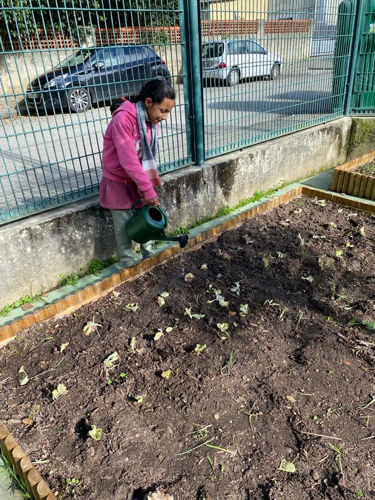 Rega dos legumes e hortícolas plantados pelas turmas.