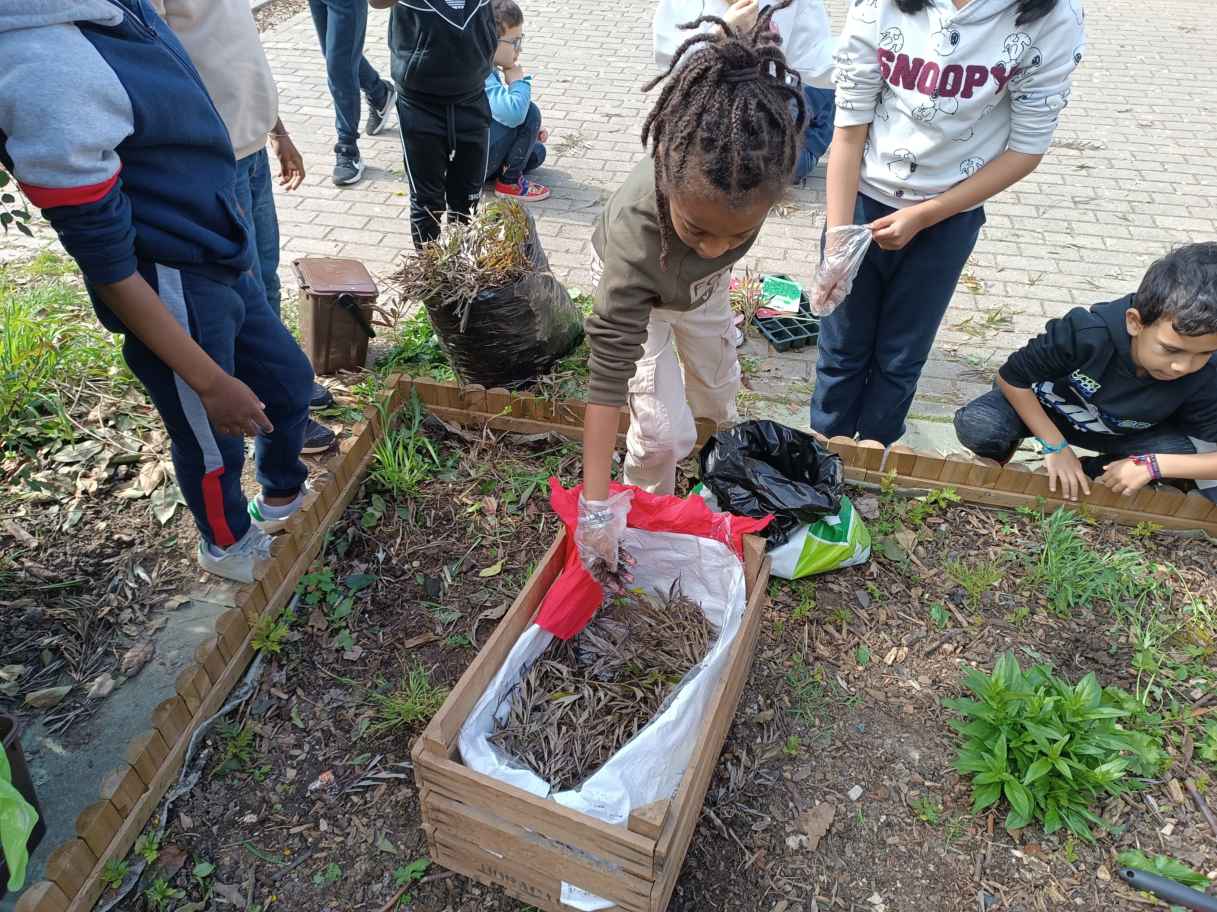 Preparação de composto com resíduos orgânicos produzidos e recolhidos na escola.