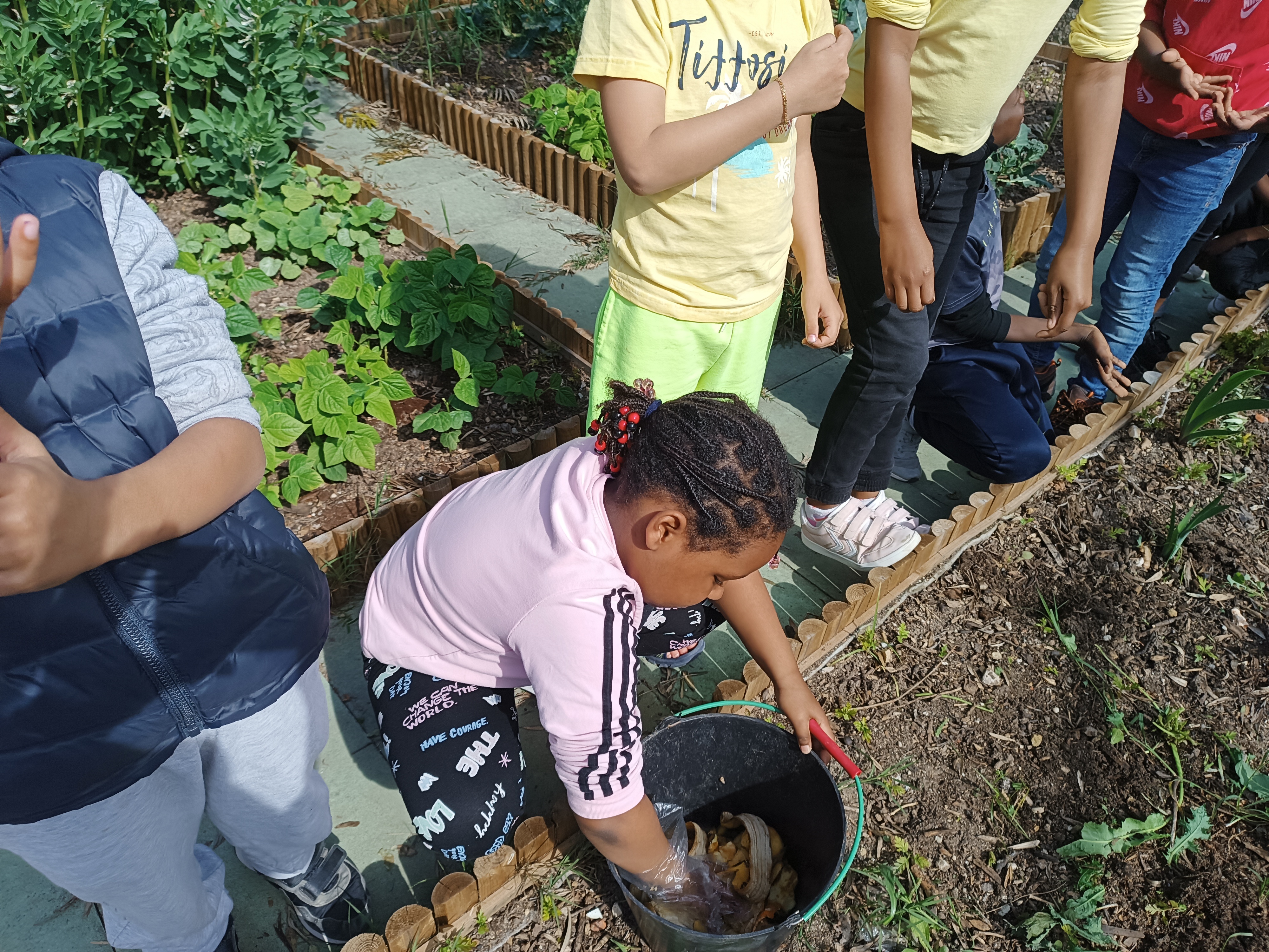 Preparação de composto com resíduos orgânicos produzidos e recolhidos na escola.