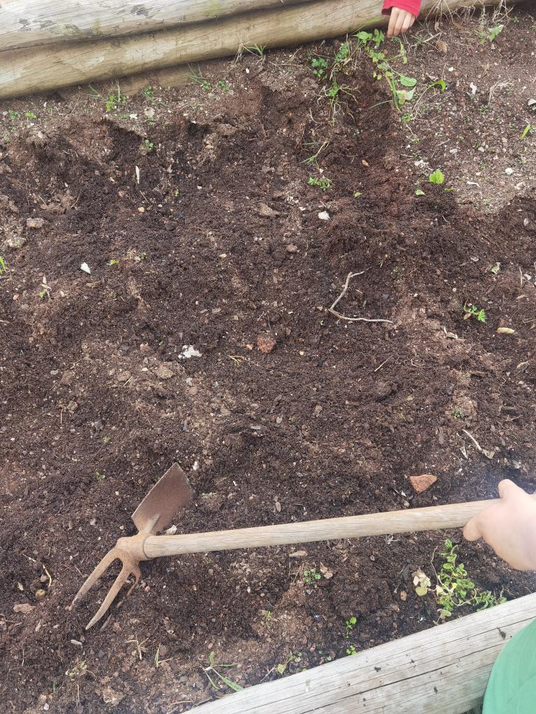 Preparação do terreno 1