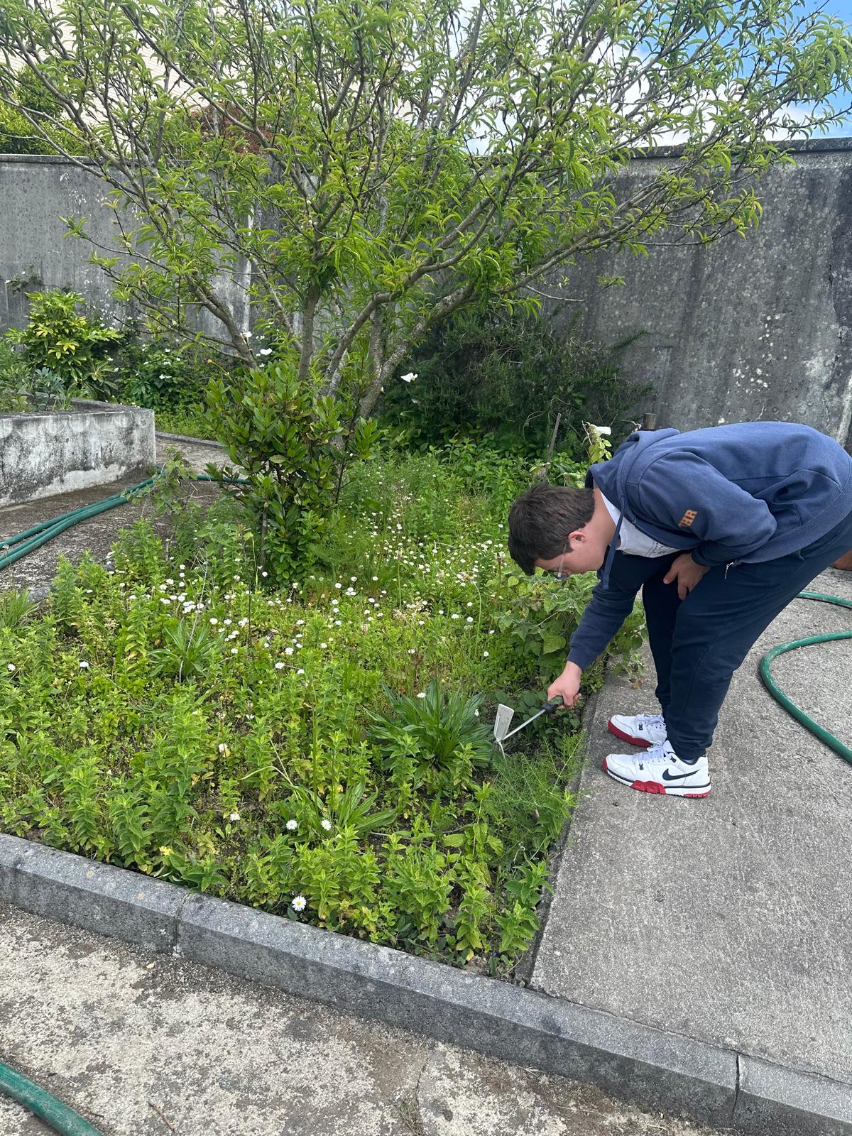 maternidade da plantação