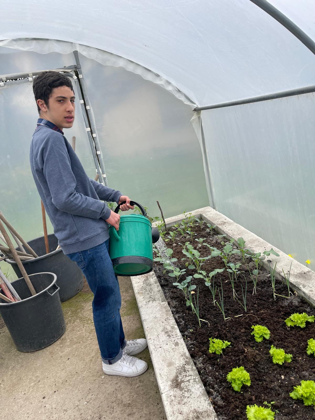 Plantação na primavera - Manutenção