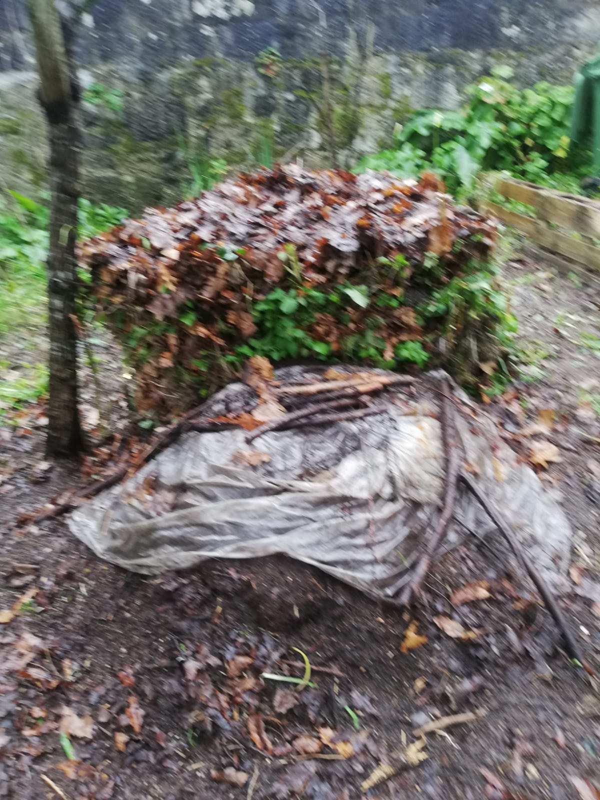 Compostor