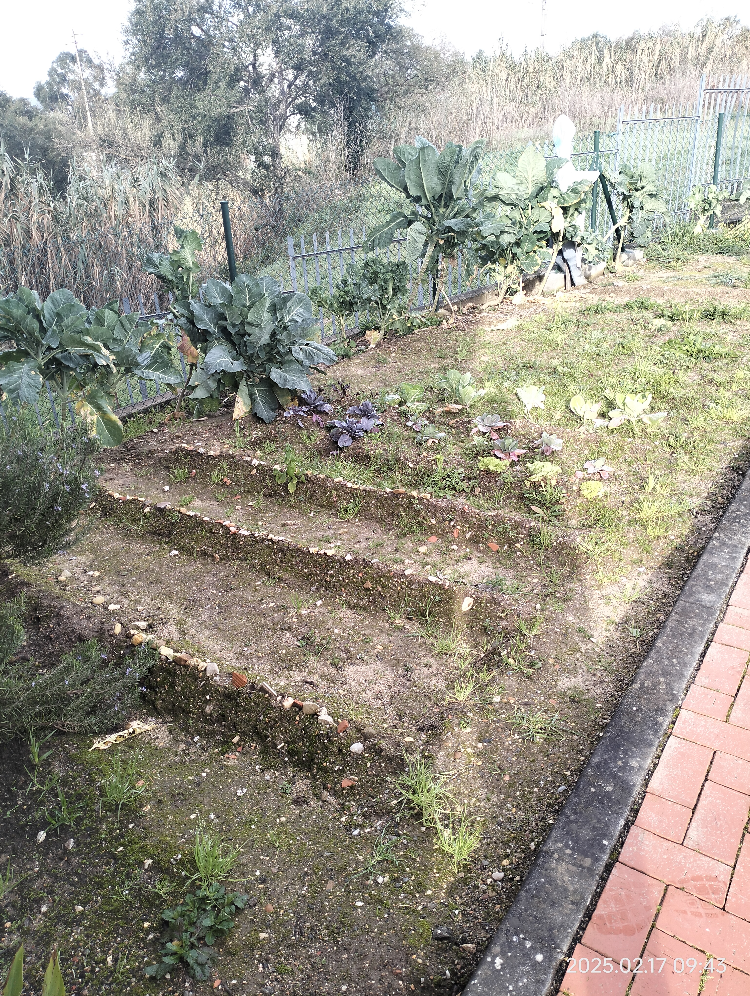 Vista geral da pequena horta biológica, antes de iniciar o processo de exploração da mesma.