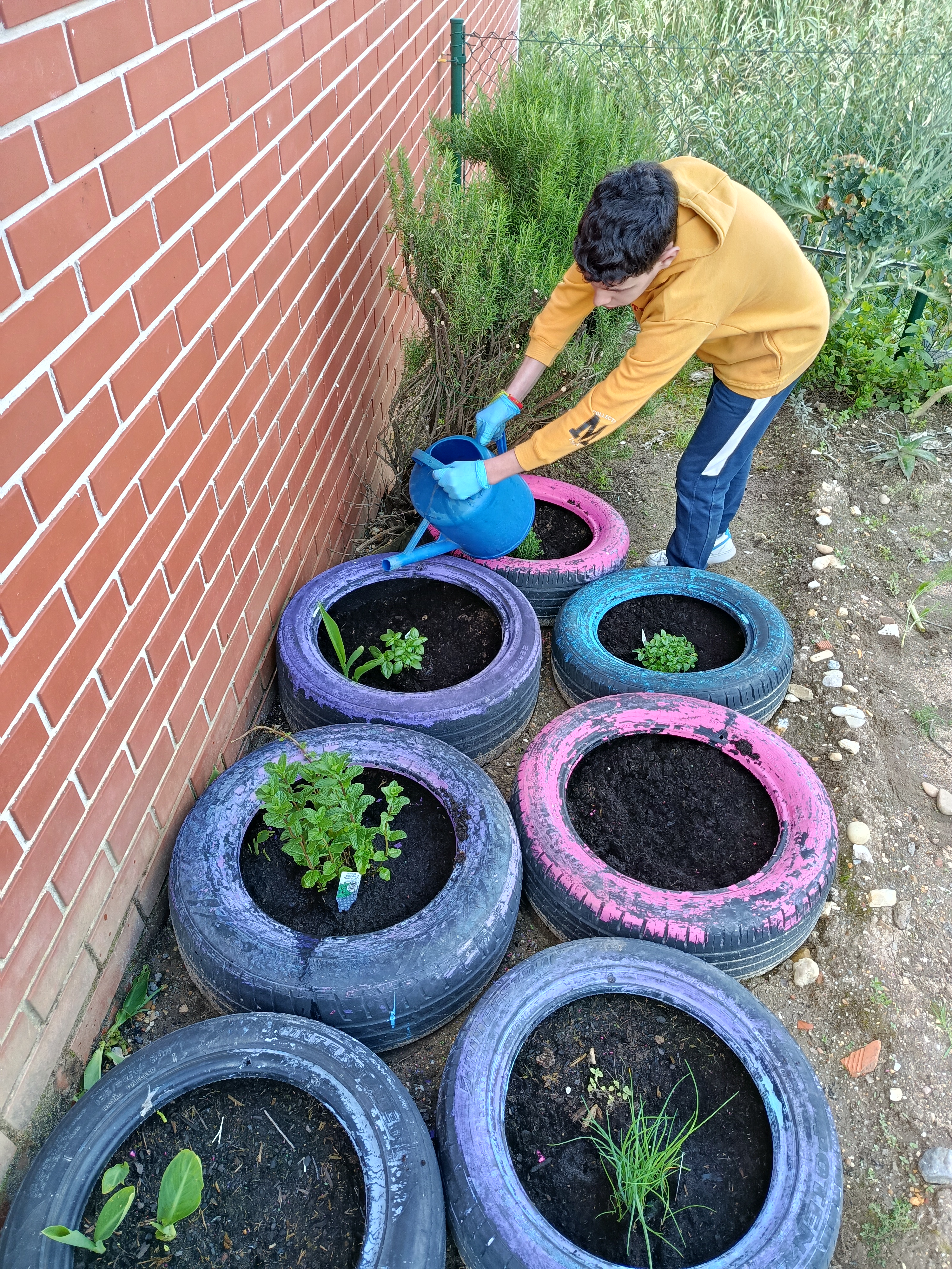 Alguns alunos de uma oficina criada para a inclusão de alunos com necessidades educativas especiais foram envolvidos no processo de construção do cantinho das ervas aromáticas.