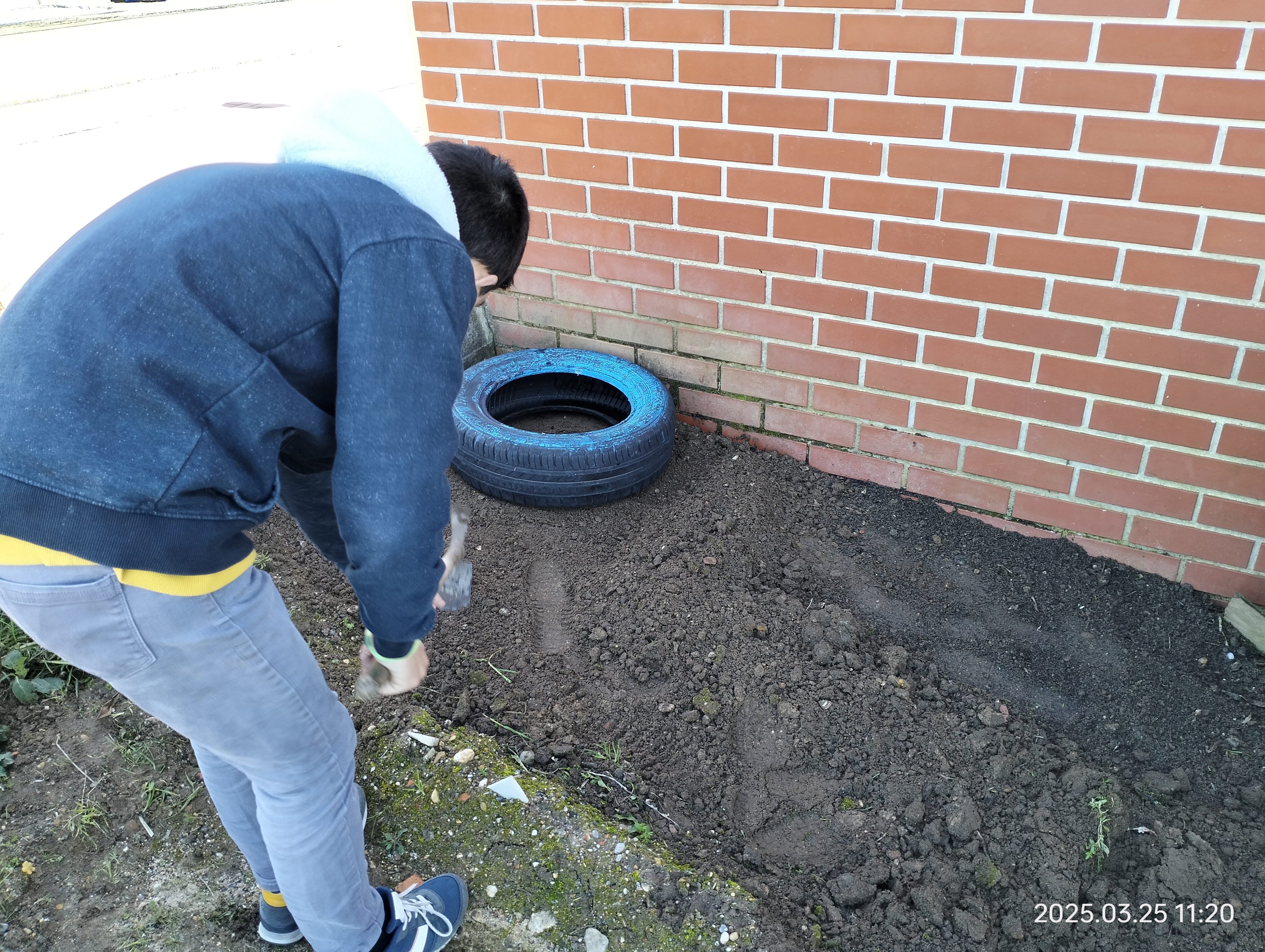 Foram recuperados pneus que tinha sido utilizados numa atividade escolar associada ao desporto para construir um cantinho de ervas aromáticas. Houve necessidade de remover ervas daninhas, nivelar o terreno e podar um rosmanhinho que se situa nesse canto.