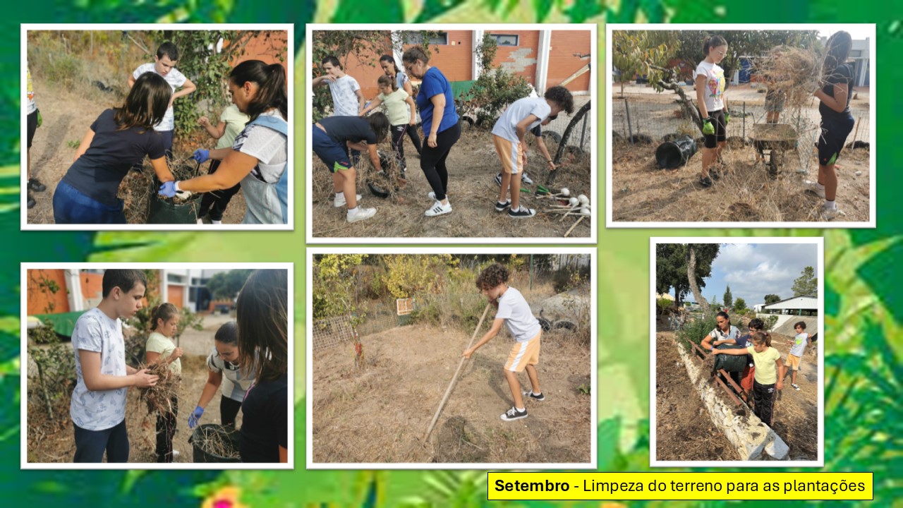 Setembro - Limpeza do terreno para as plantações.