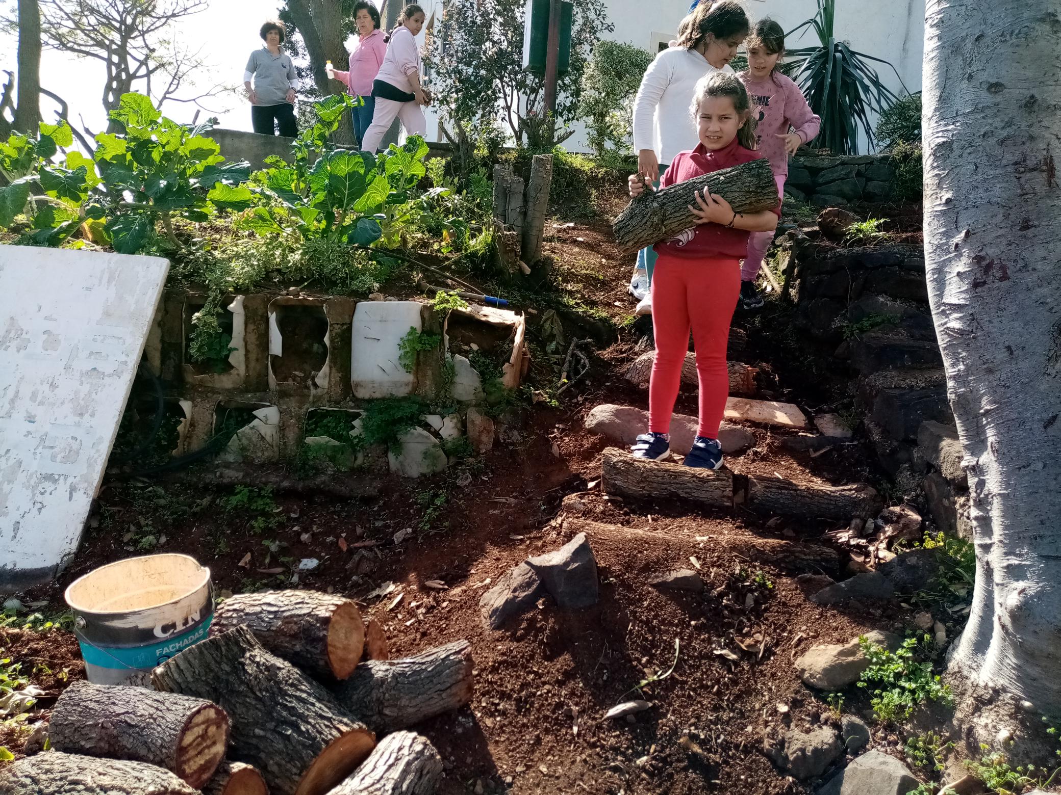 Manutenção da horta.