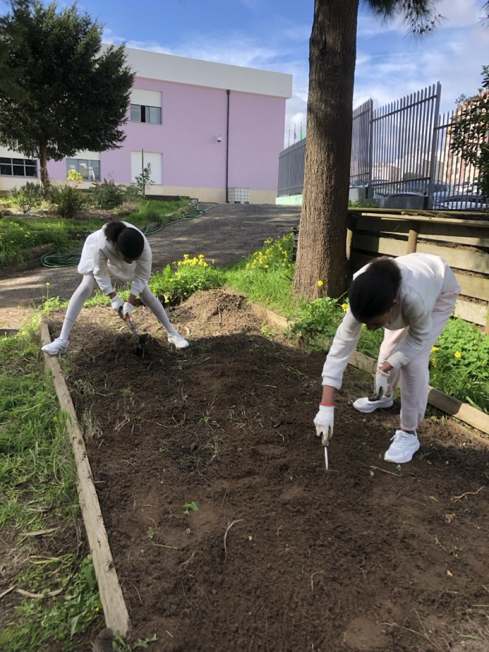 Brigada da Horta em ação